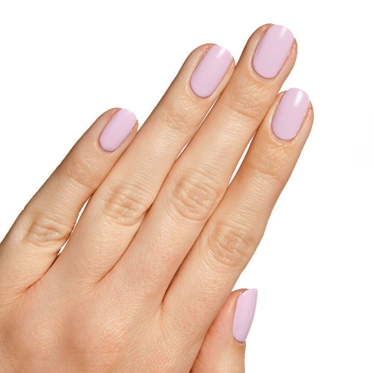 COCKATOO - Part of Set、mySite、solidvoid