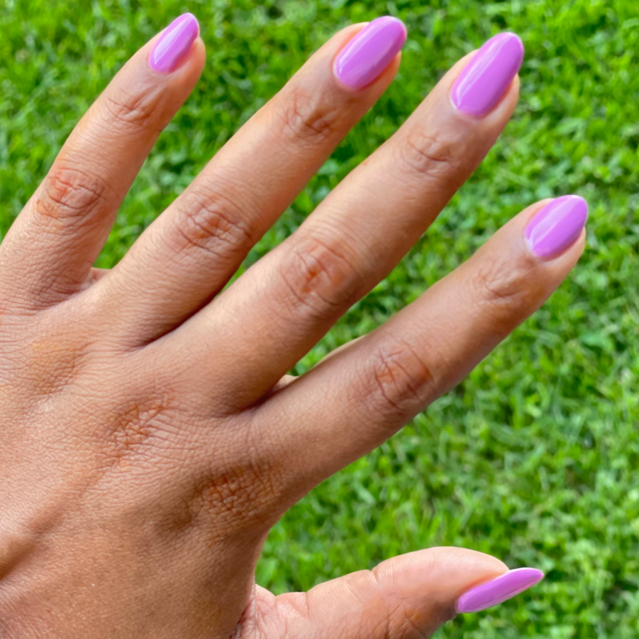 Petal - Gel、mySite、solidvoid