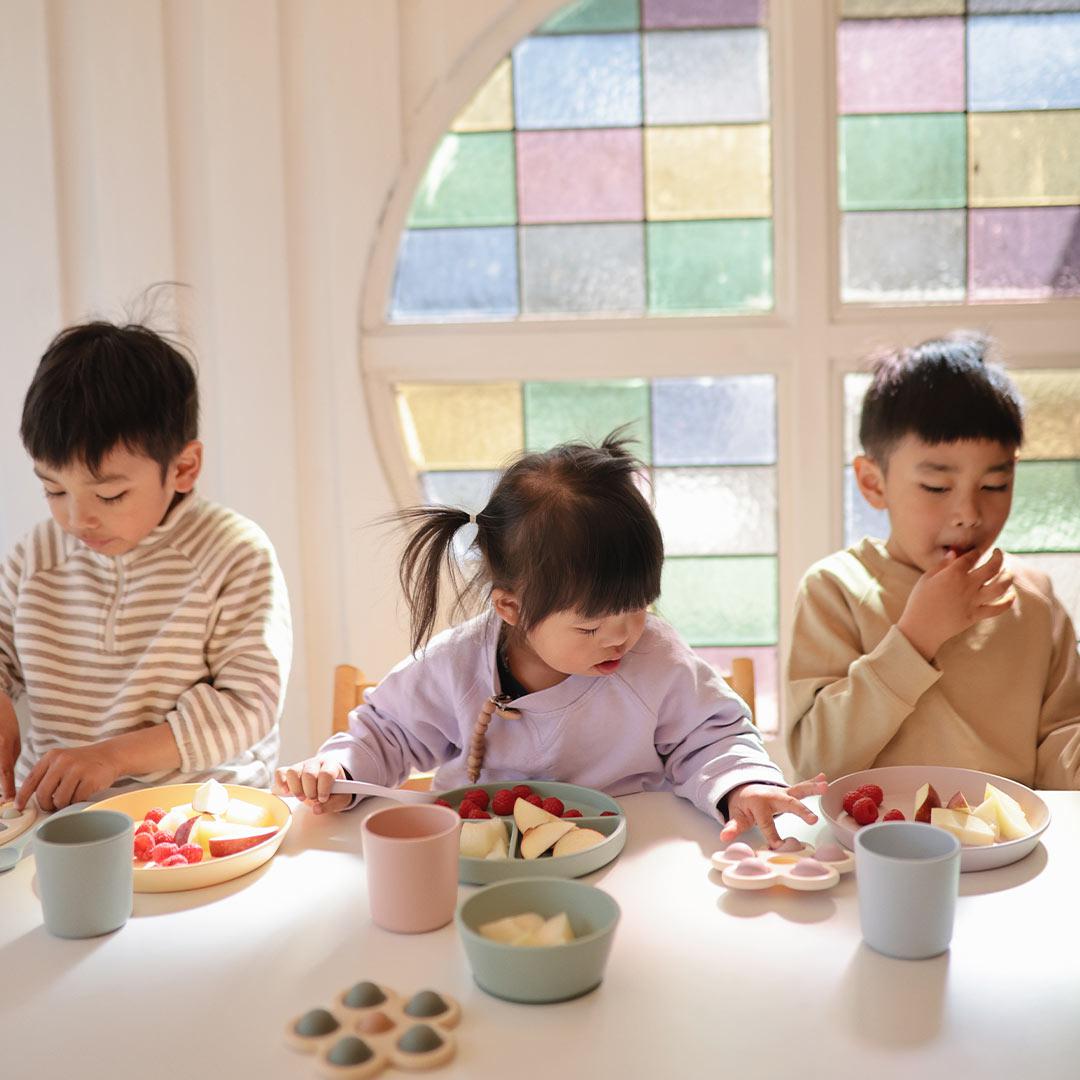  Mushie Silicone Suction Plate - Blush、mySite、merchandisen