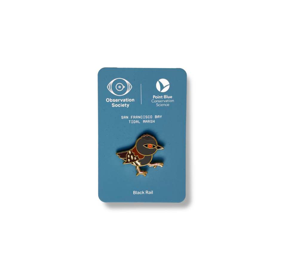 Observation - Black Rail -Bird Pin、mySite、garagedoors4me