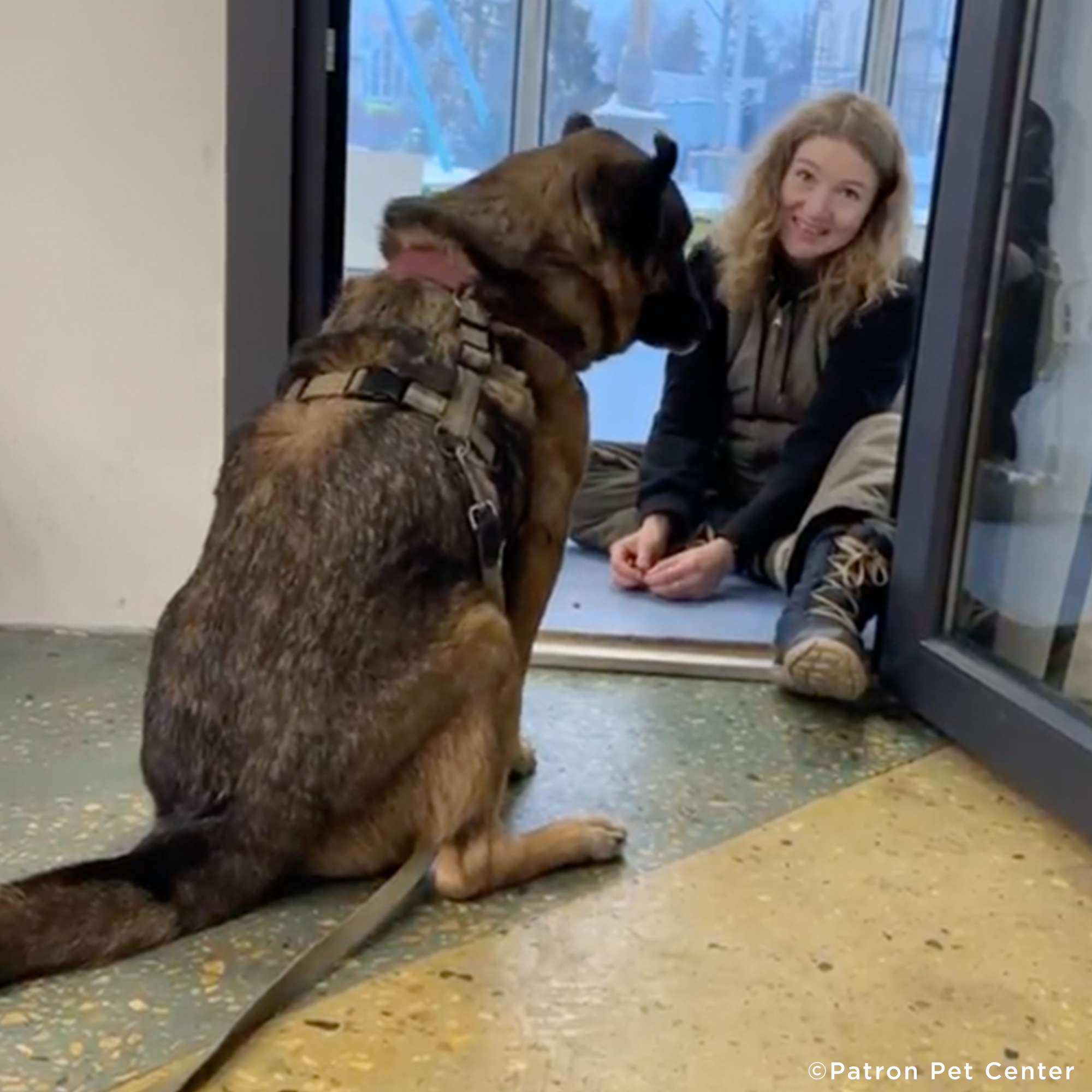 Funded: Lord Survived Explosion But Needs Your Help To Heal His Wounds、mySite、camillekostekn