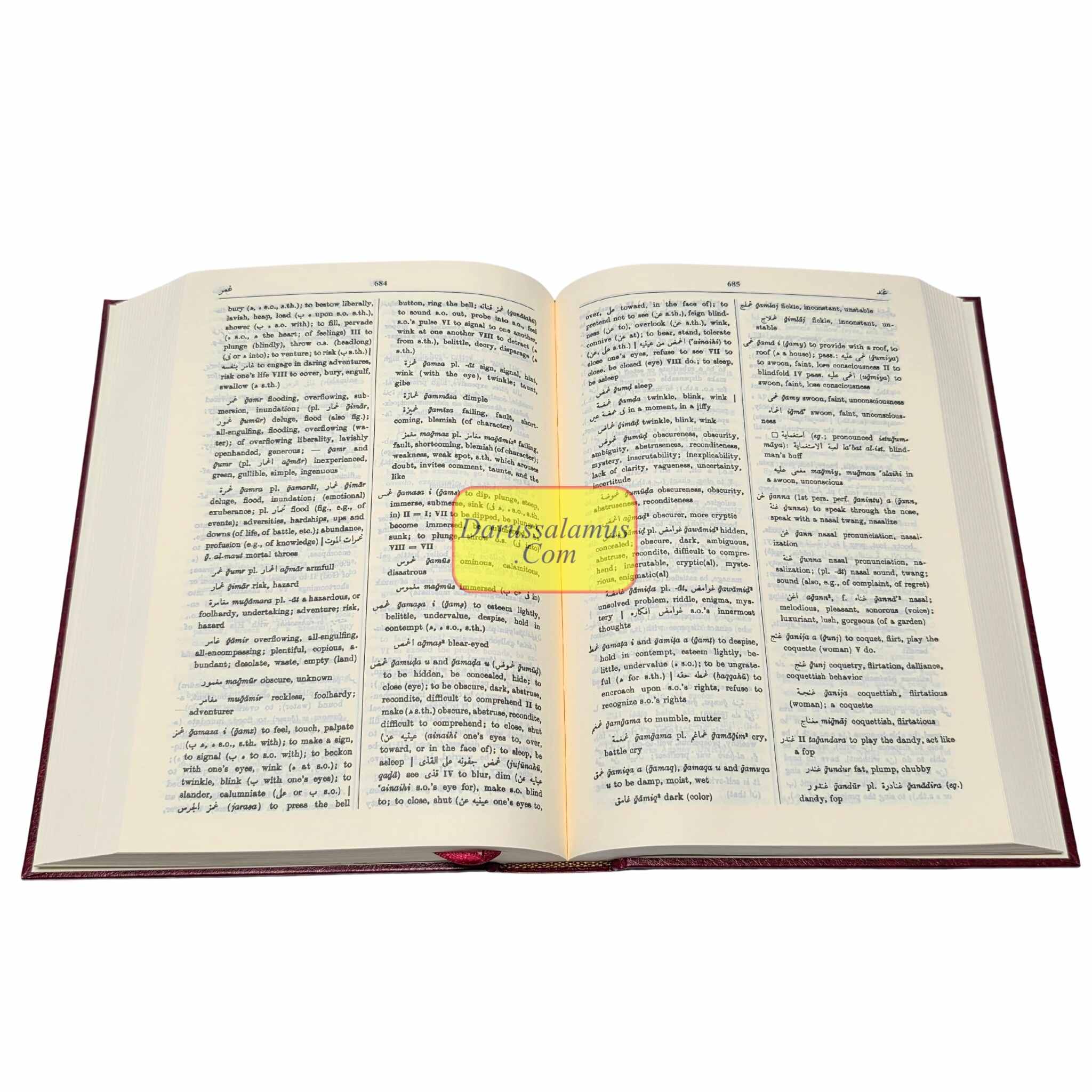 The Hans Wehr Dictionary of Modern Written Arabic Large、mySite、topwebapps