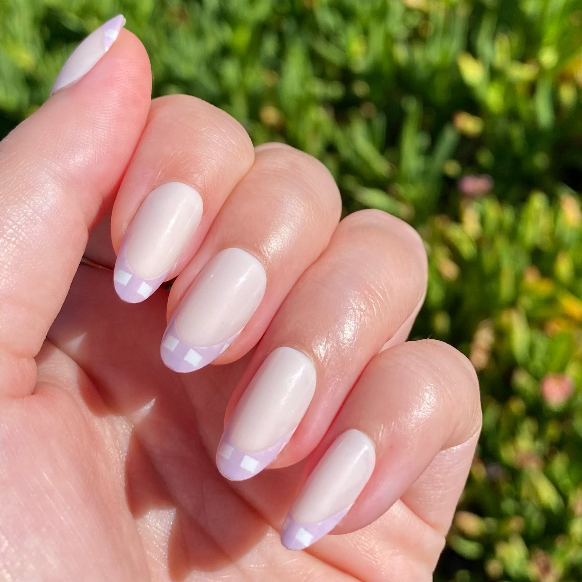 Gingham French - Press-On | Medium | Oval、mySite、solidvoid