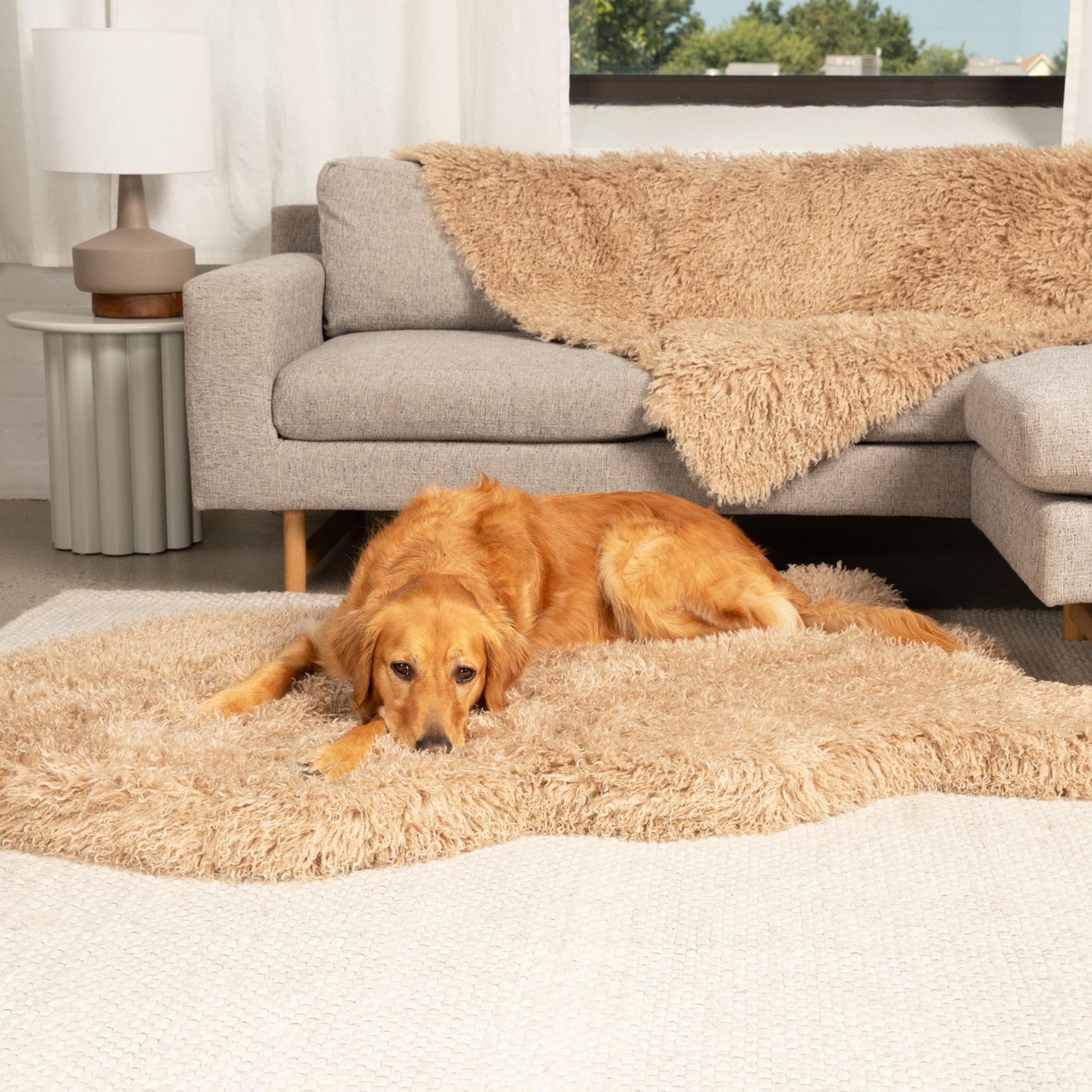 PupRug™ Luxe Faux Fur Orthopedic Dog Bed - Plush Sheep Tan、mySite、solidvoid