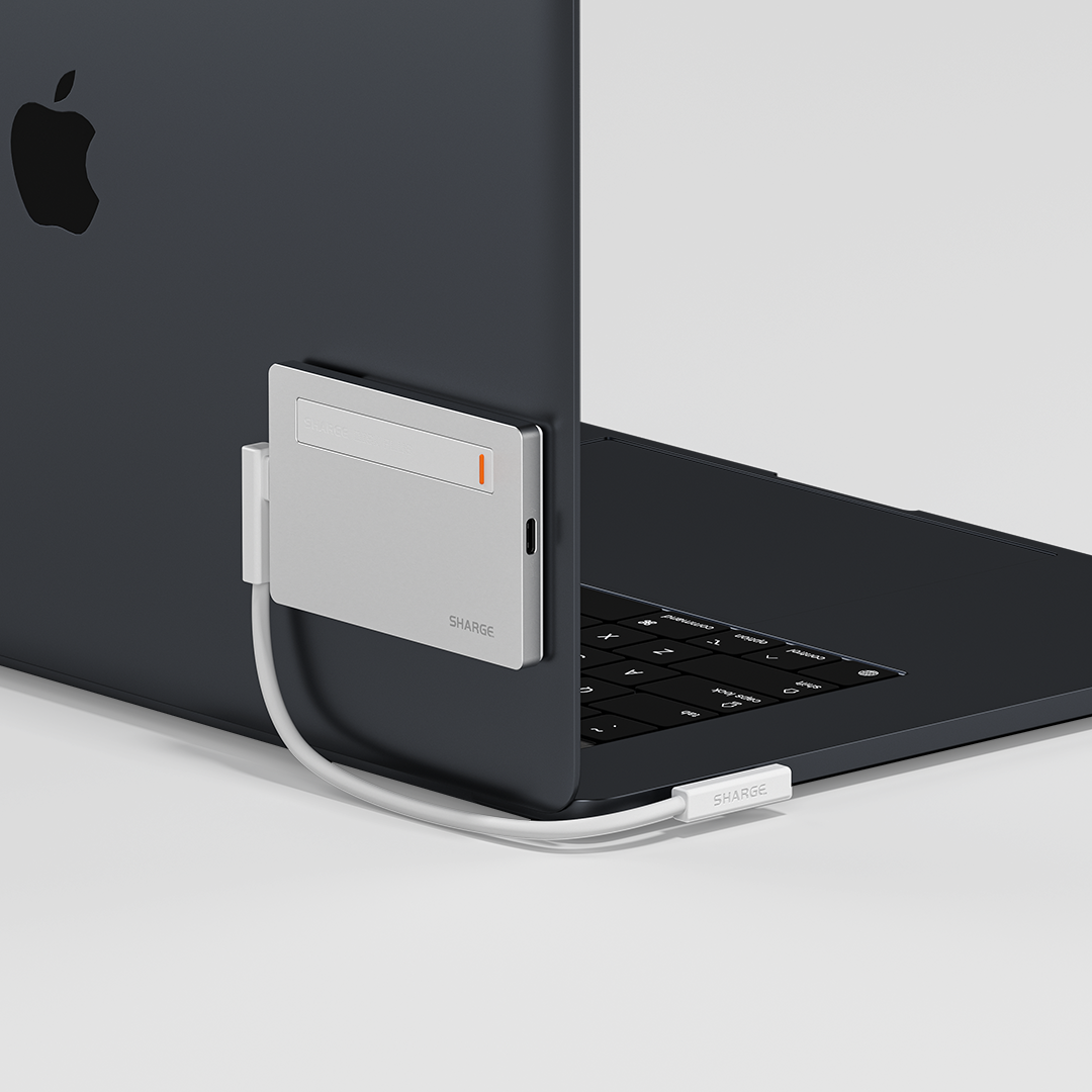 Magnetic Module for Disk Plus、mySite、fannypackpong