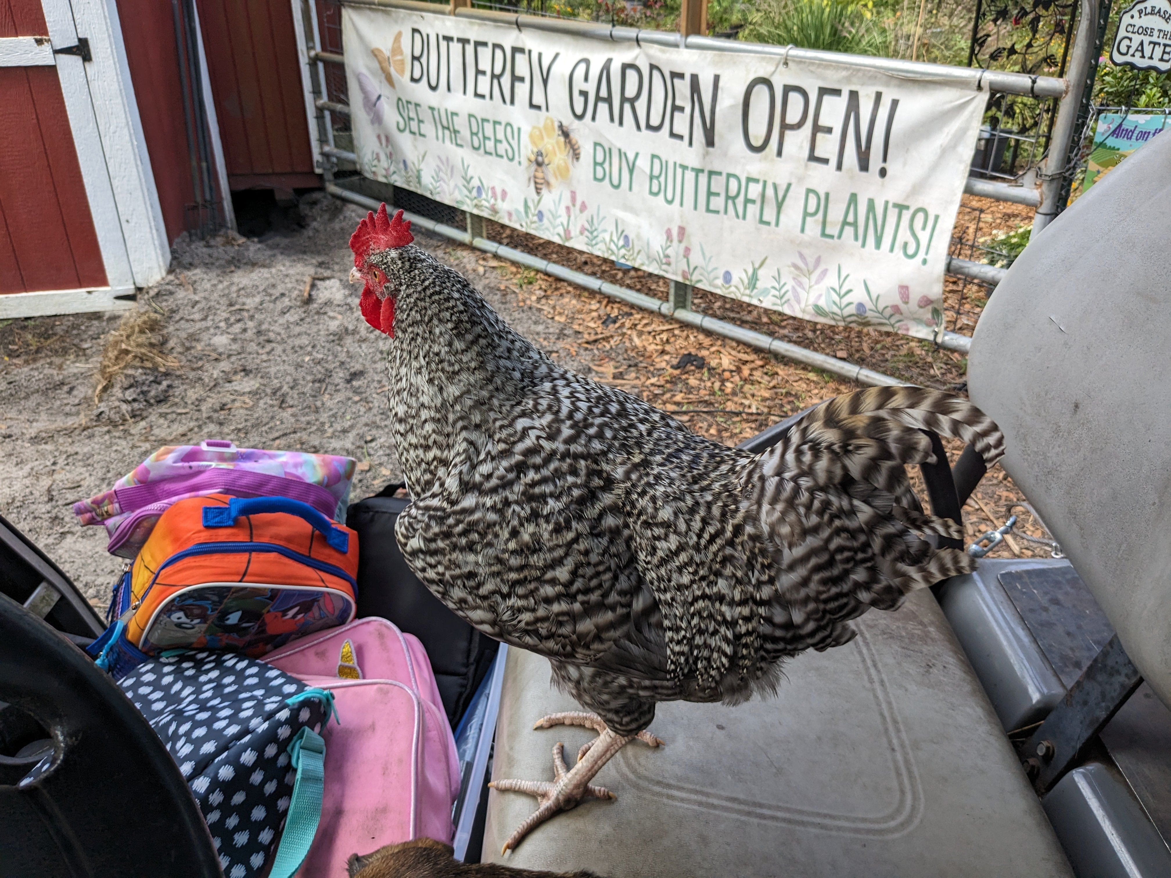 Gift Cards、mySite、g9winljtr