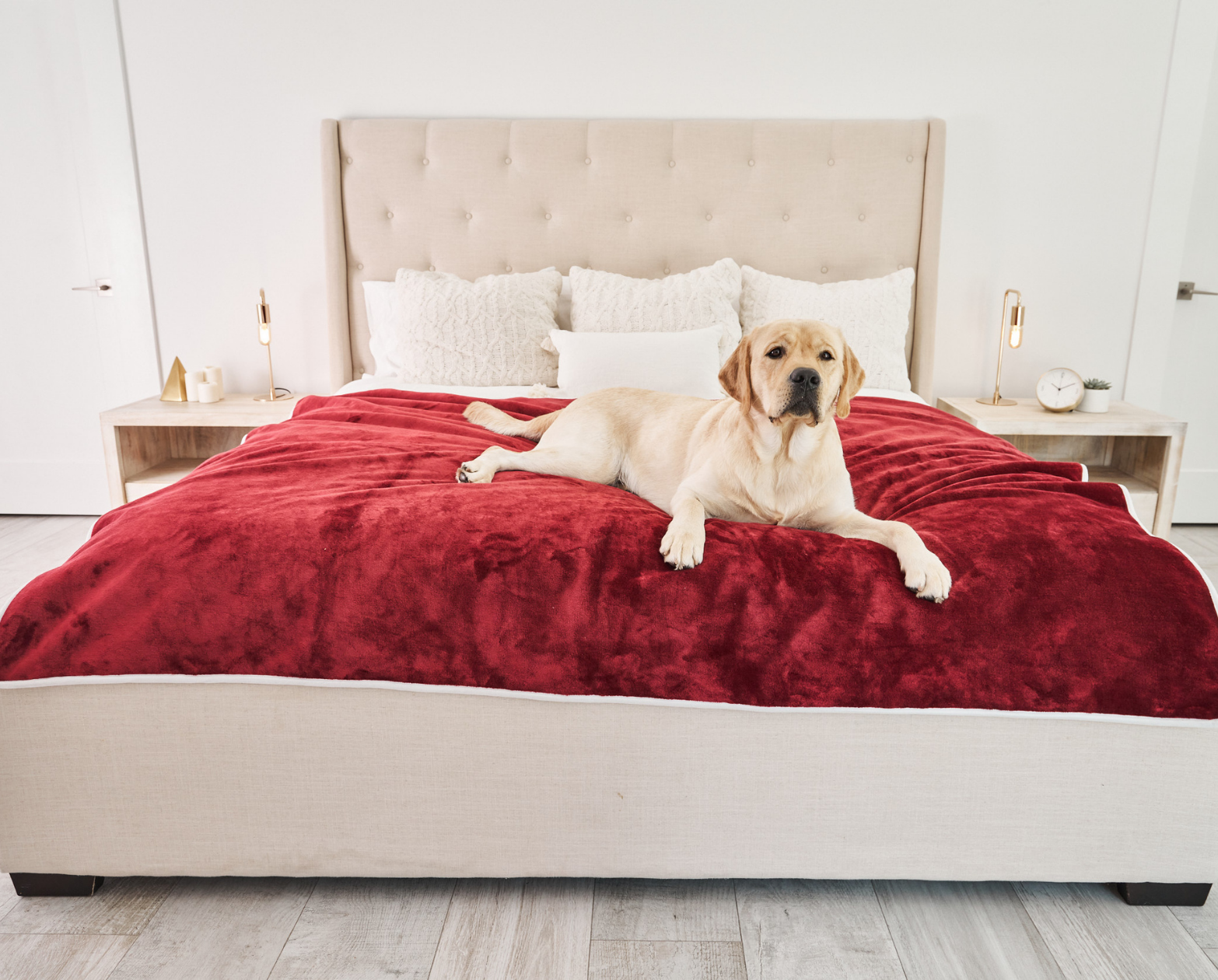 PupProtector™ Waterproof Throw Blanket - Red Velvet、mySite、solidvoid