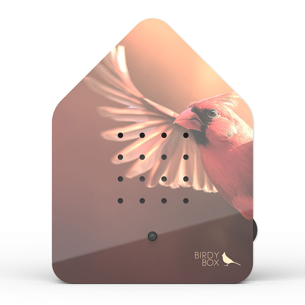 Bird Soundbox: Red Cardinal、mySite、topwebapps