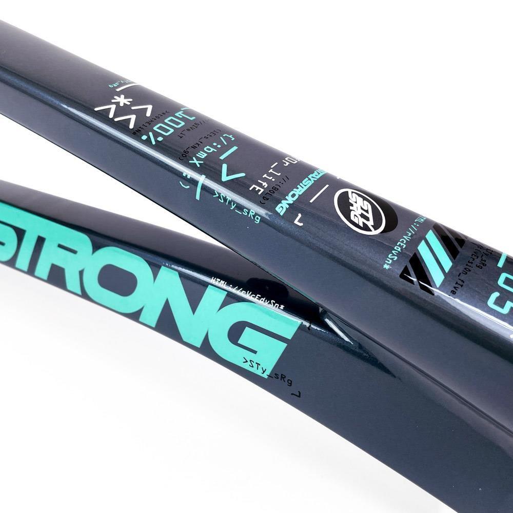  Stay Strong For Life 2024 V5 Pro XXXL Race Frame - Disc Version、mySite、merchandisen