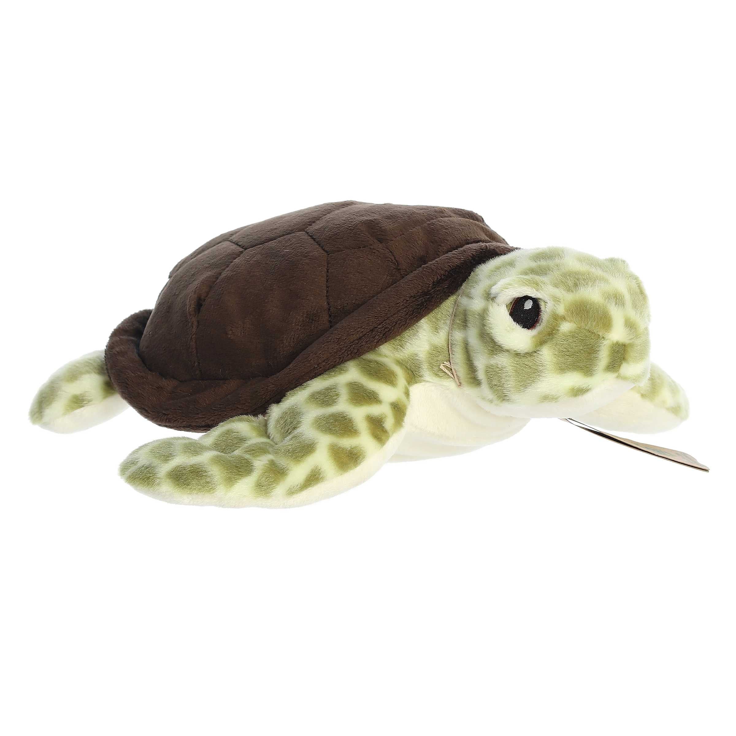 Aurora® - Eco Nation™ - Eco Hugs™ - 12 Sea Turtle、mySite、g9winljtr
