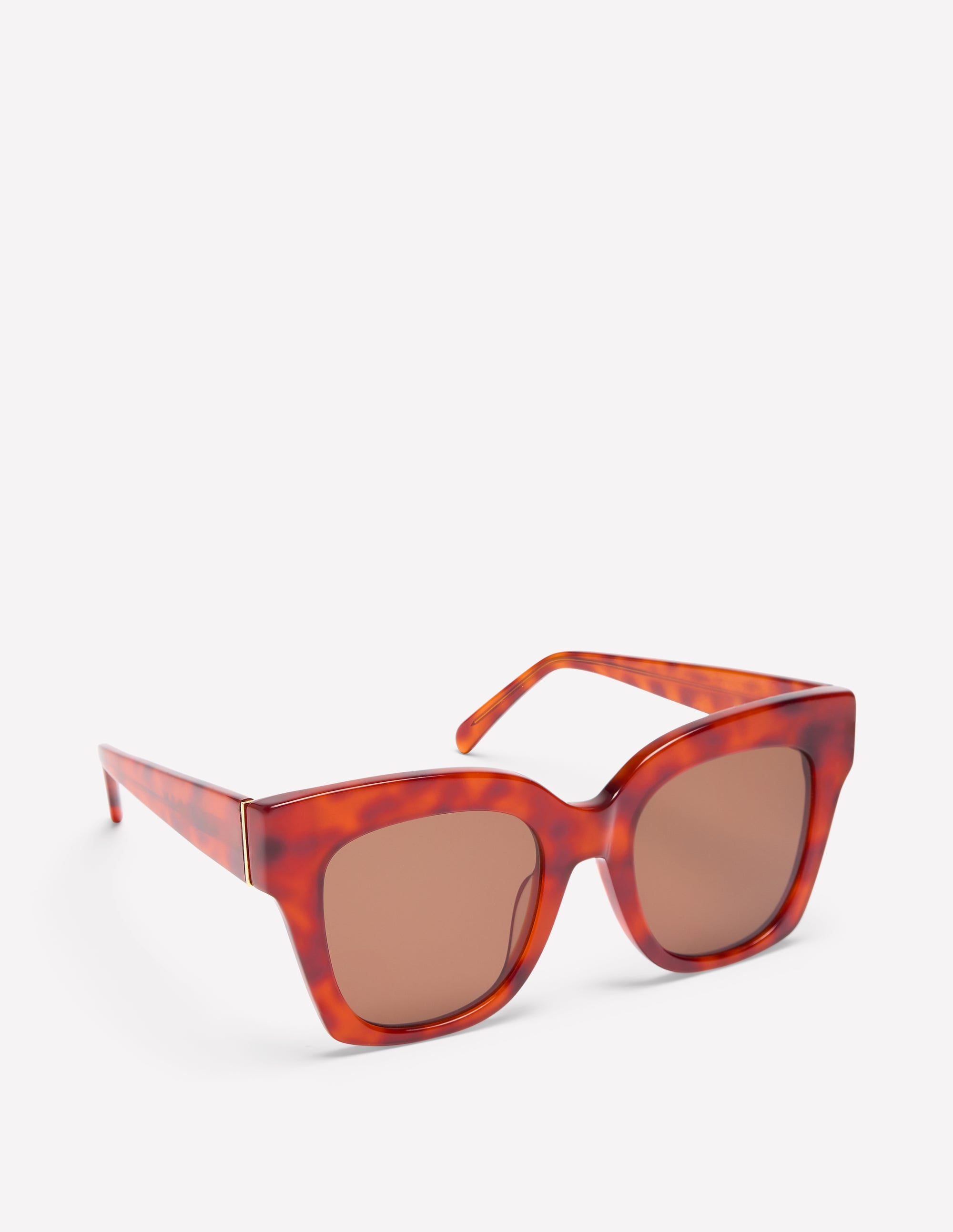  Oversized Tort Sunglasses-Marmalade Tort、mySite、ashleygrahame