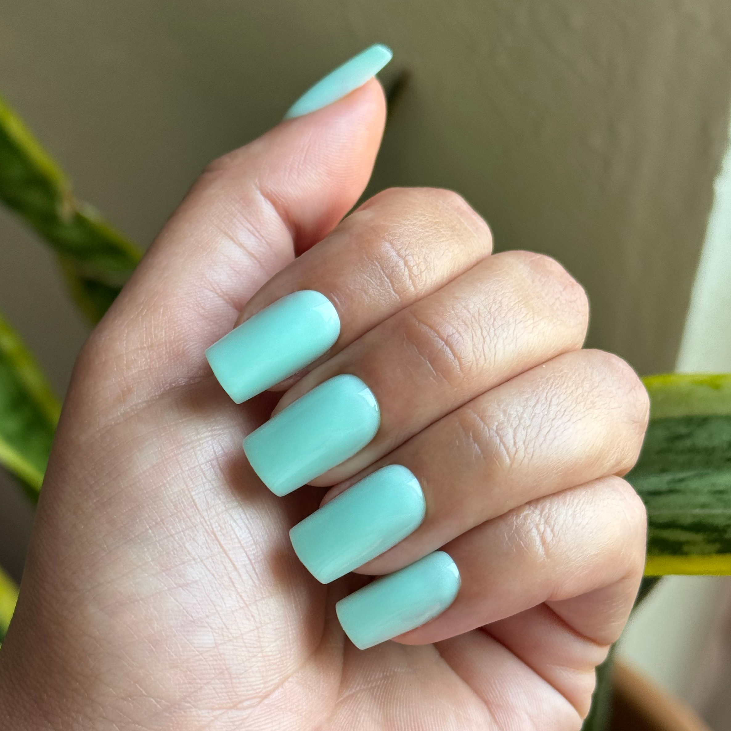 Slam Dunk - Press-On | Medium | Square、mySite、solidvoid