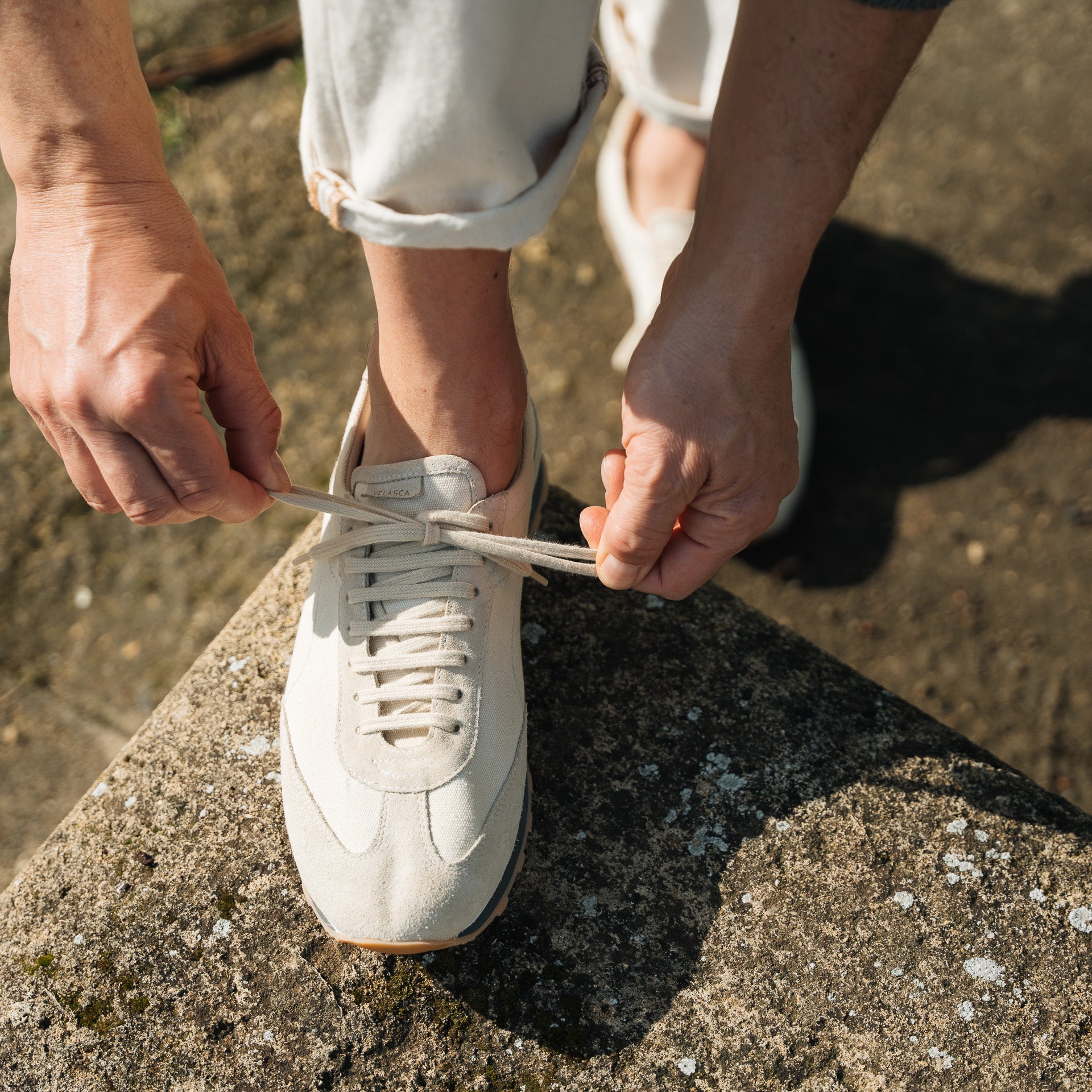  Ròdich、mySite、merchandisen