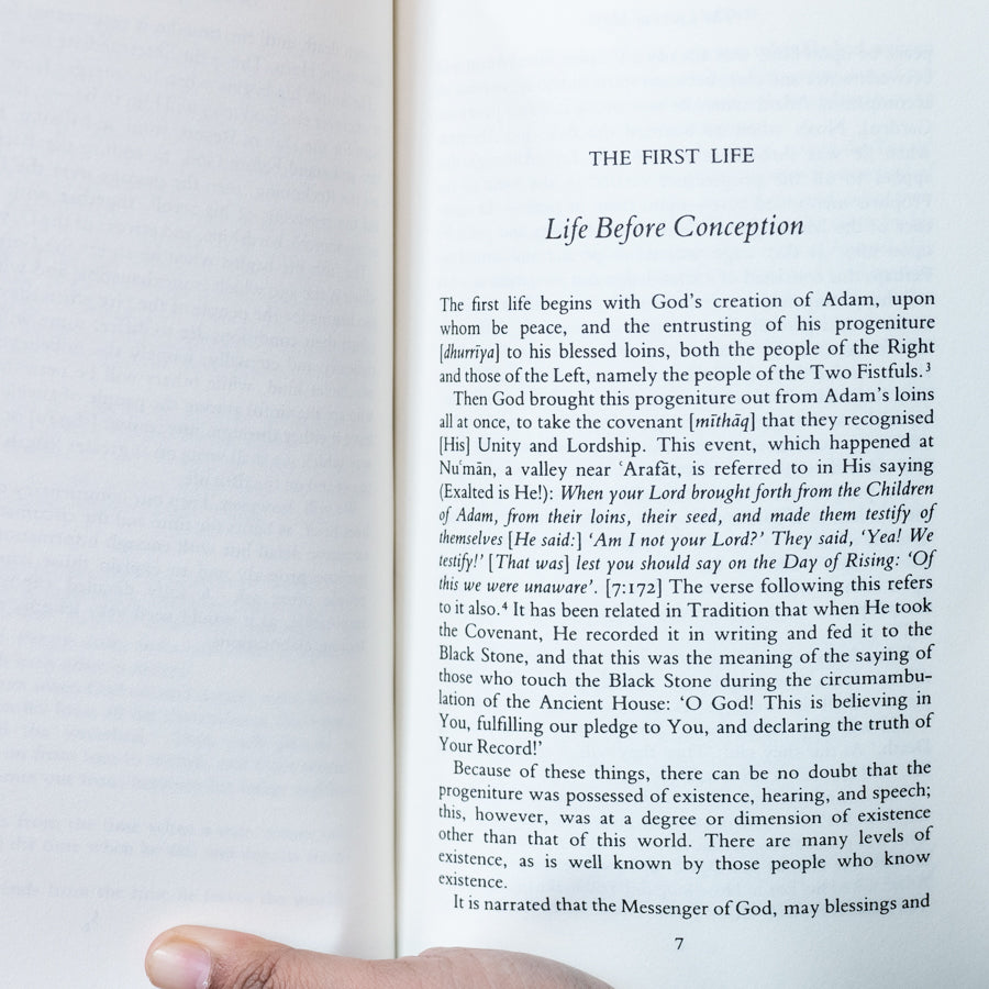 Lives of Man、mySite、topwebapps