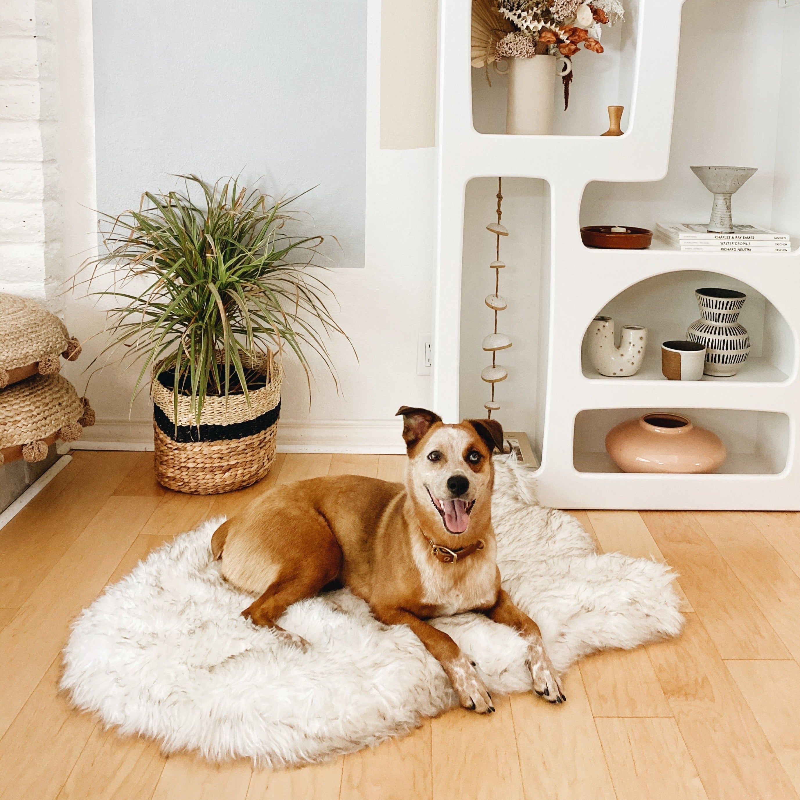 PupRug by Paw.com™ Faux Fur Orthopedic Dog Bed - Curve White with Brown Accents、mySite、solidvoid