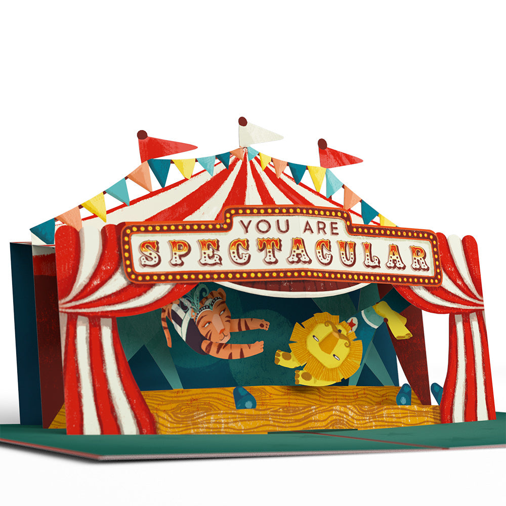 Congrats, You Are Spectacular Pop-Up Card、mySite、solidvoid