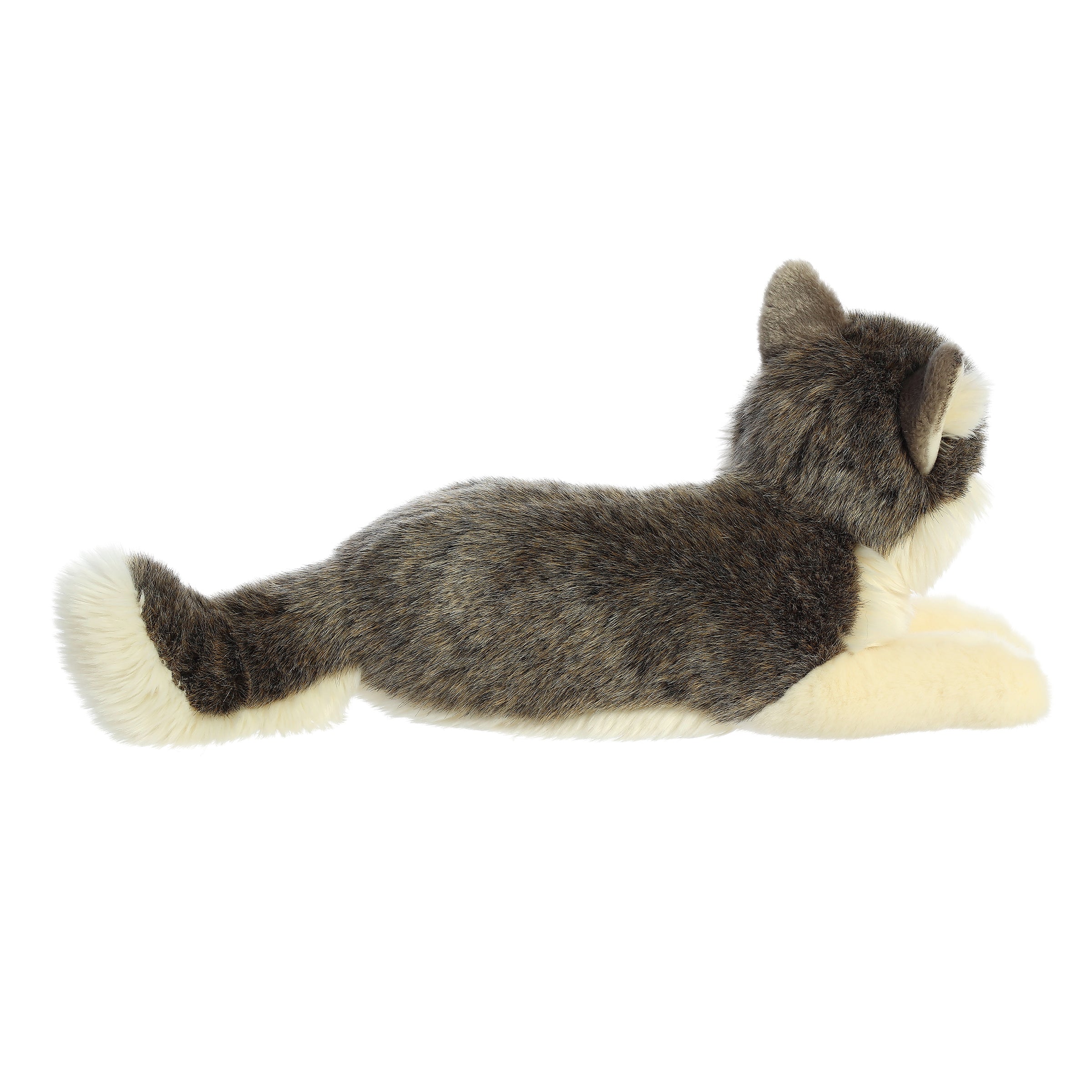 Aurora® - Miyoni® - Wolf、mySite、g9winljtr