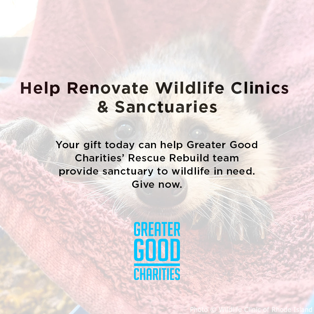 Help Renovate Wildlife Clinics and Sanctuaries、mySite、camillekostekn