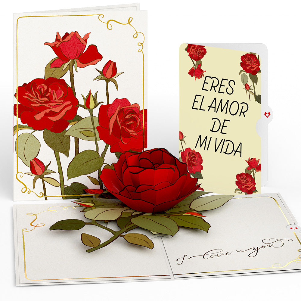 I Love You Roses Eres El Amor De Mi Vida Valentine Pop-Up Card and Sentiment Set、mySite、solidvoid