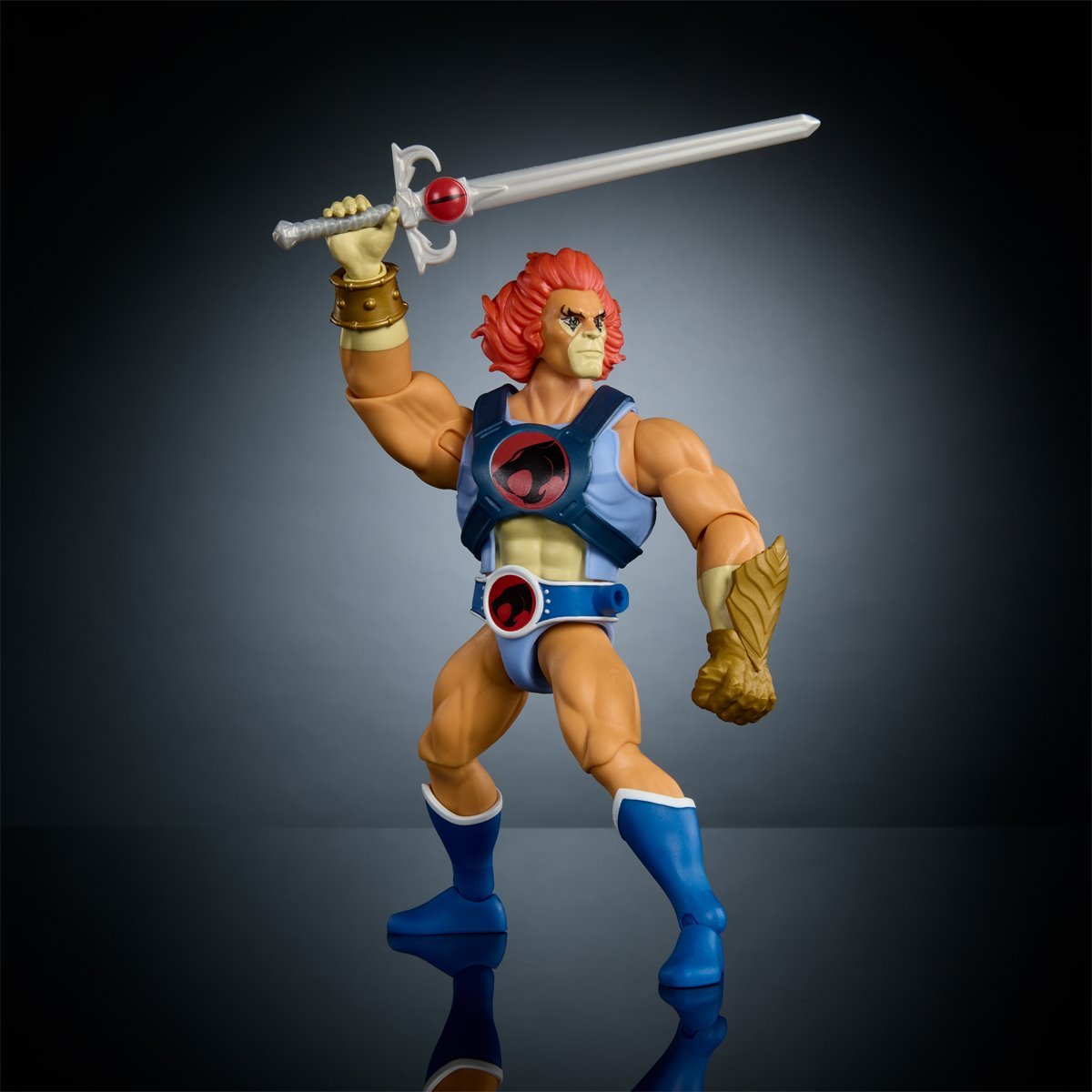 Masters of Universe Origins and ThunderCats Lion-O、mySite、hgirdovlk