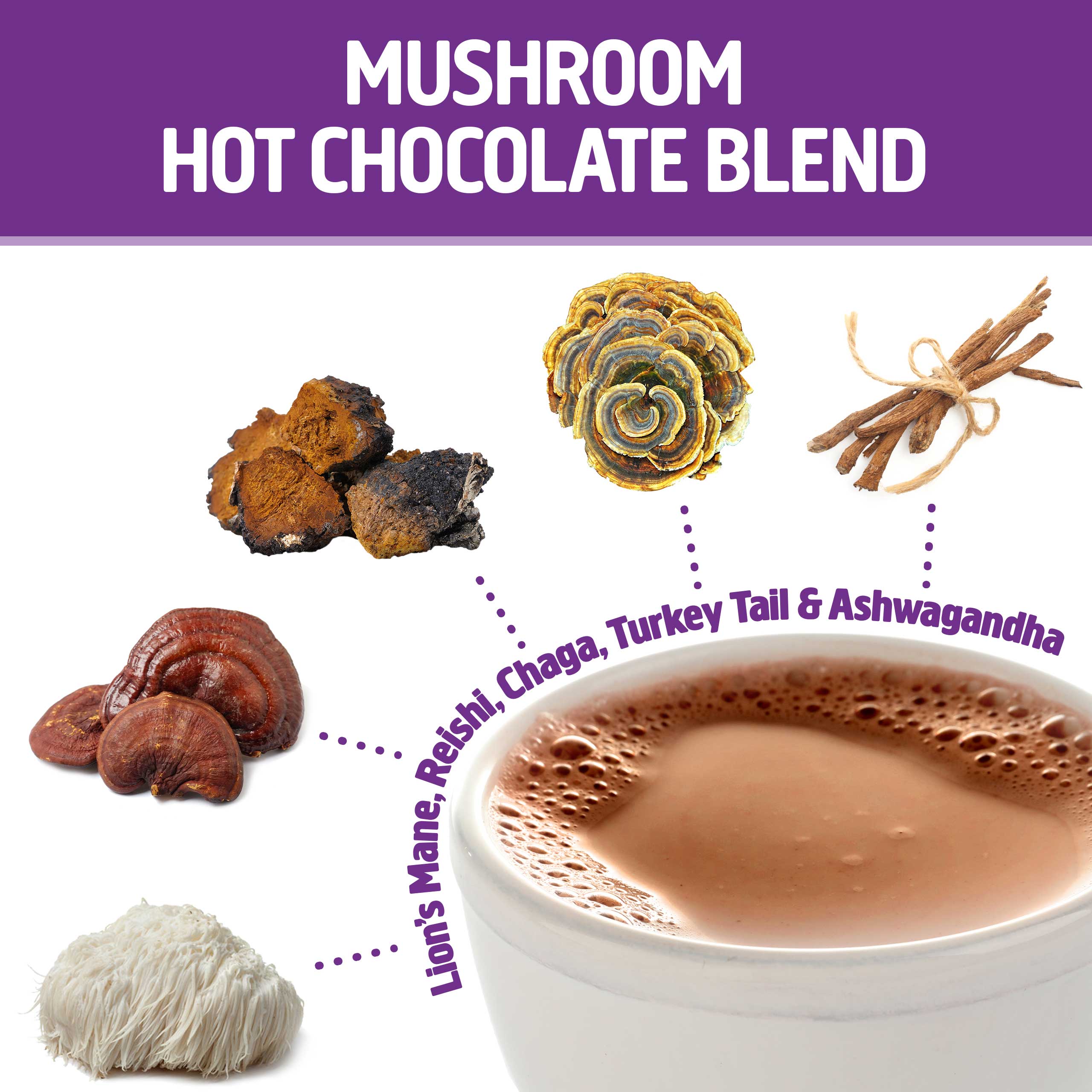 Mushroom Hot Chocolate Blend、mySite、gigharbornorthrealestate