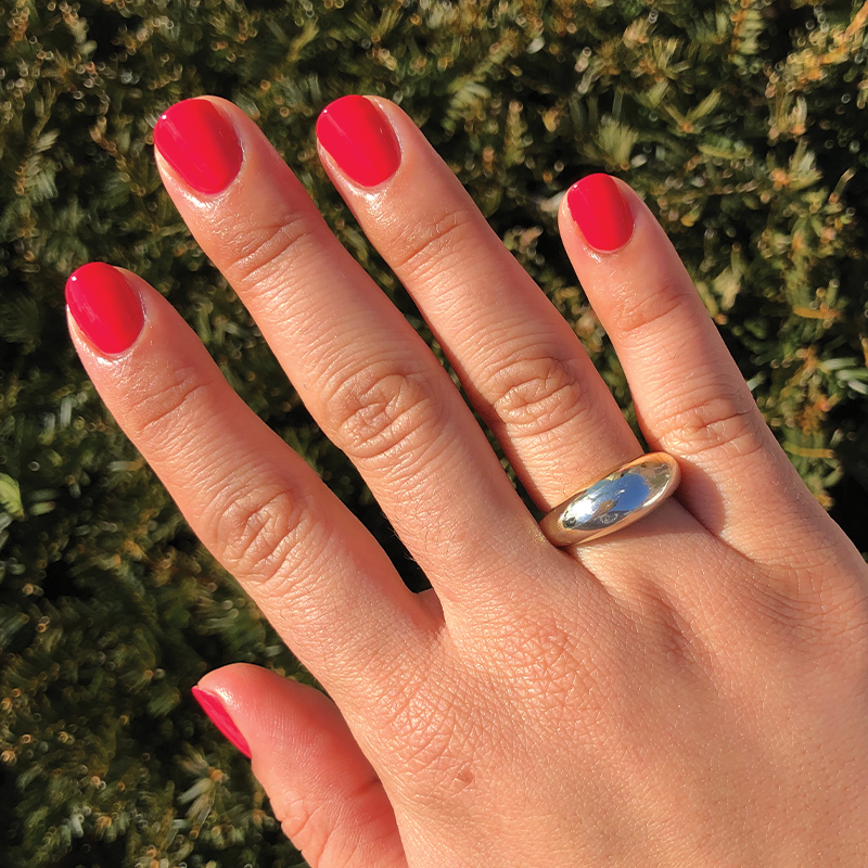 Hibiscus、mySite、solidvoid