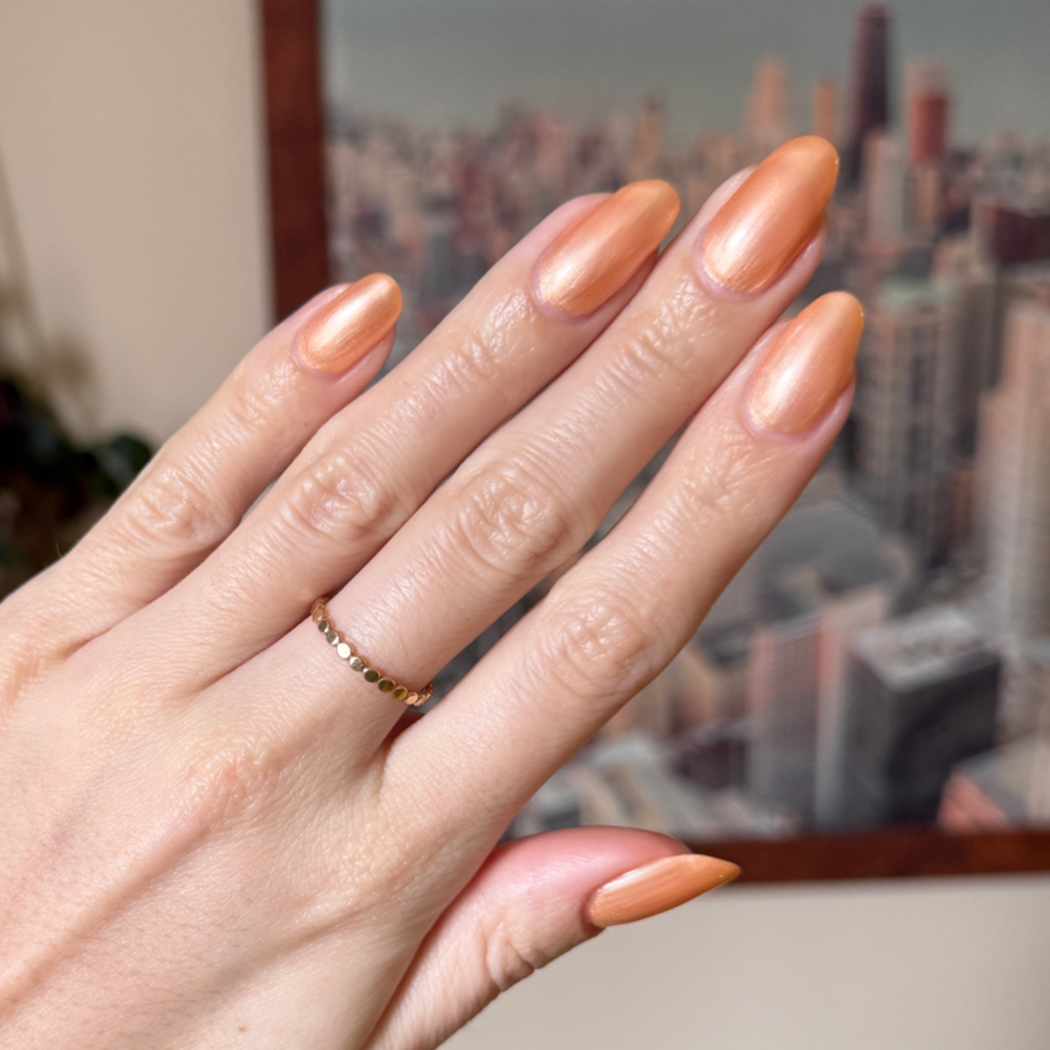 Sunlit、mySite、solidvoid