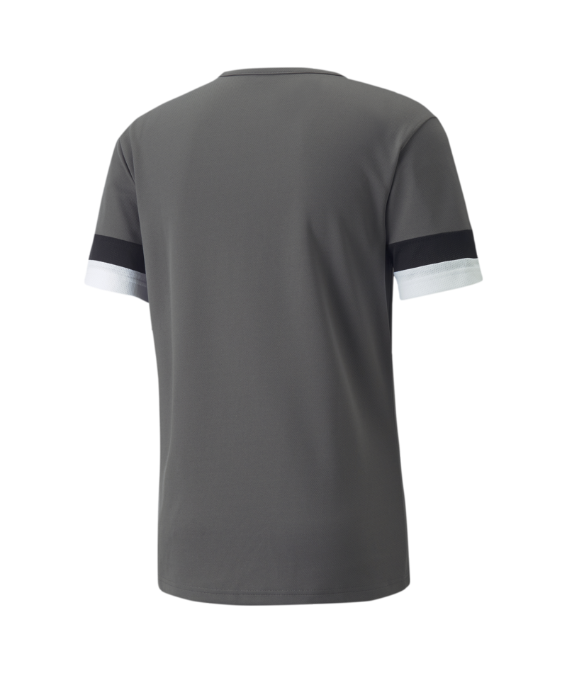 Puma Team Rise Jersey - Dark Grey、mySite、noshort