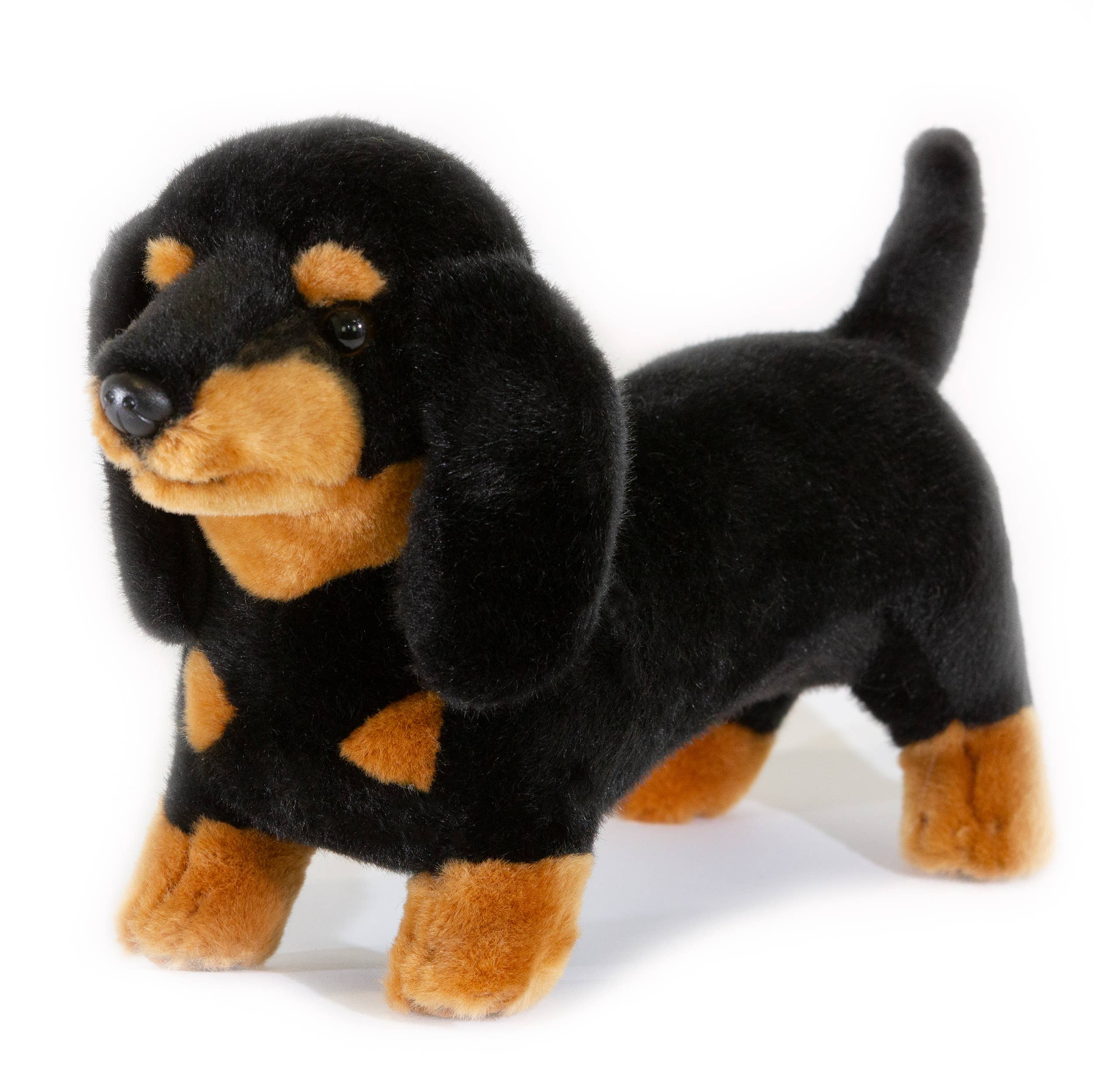 Black and Tan Plush Dachshund Medium Size Realistic、mySite、g9winljtr