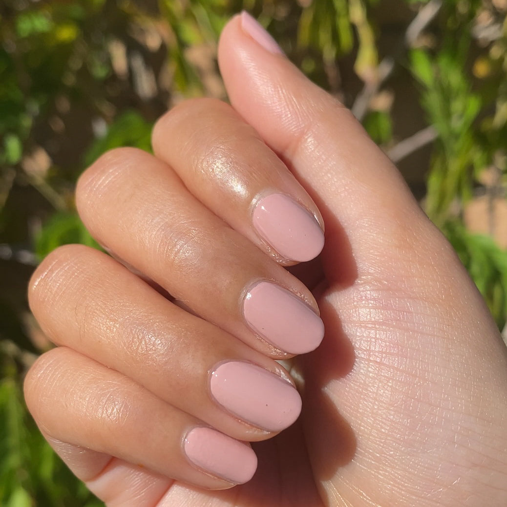 Poodle、mySite、solidvoid