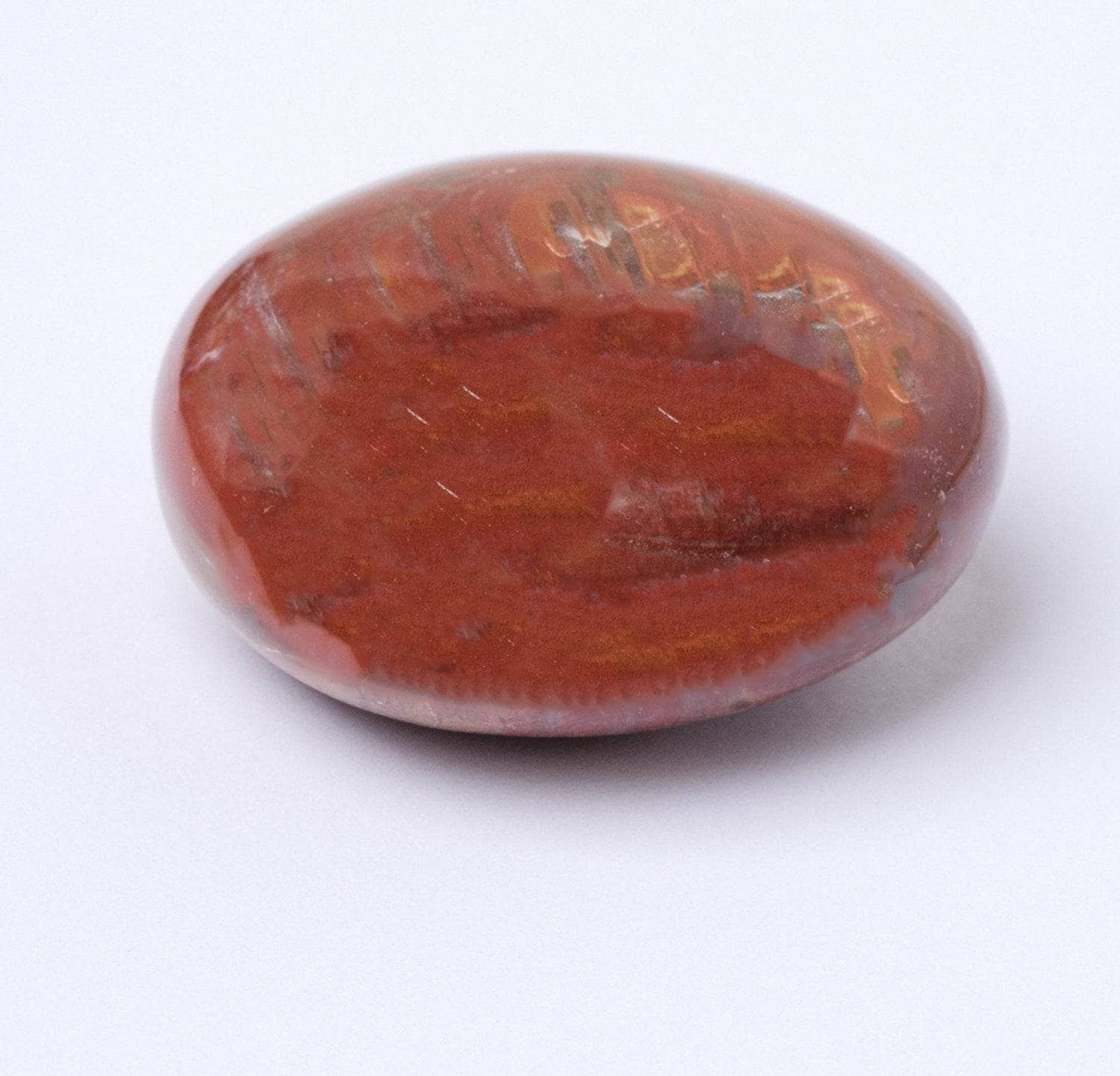 Petrified Wood Palm Stones - AAA Premium Quality、mySite、hinf8tx79