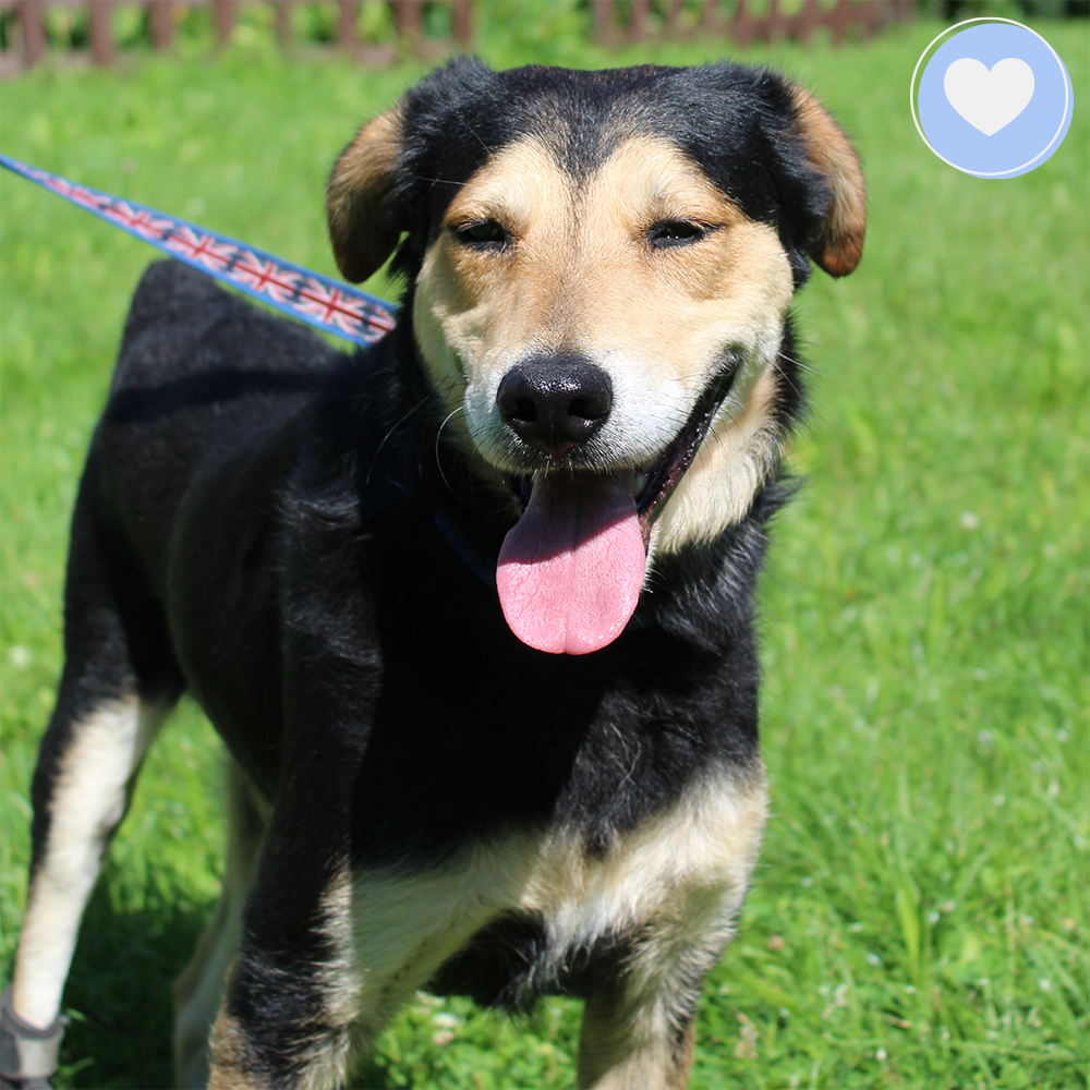 Funded: Bonnie Needs Support After Devastating Injury、mySite、camillekostekn