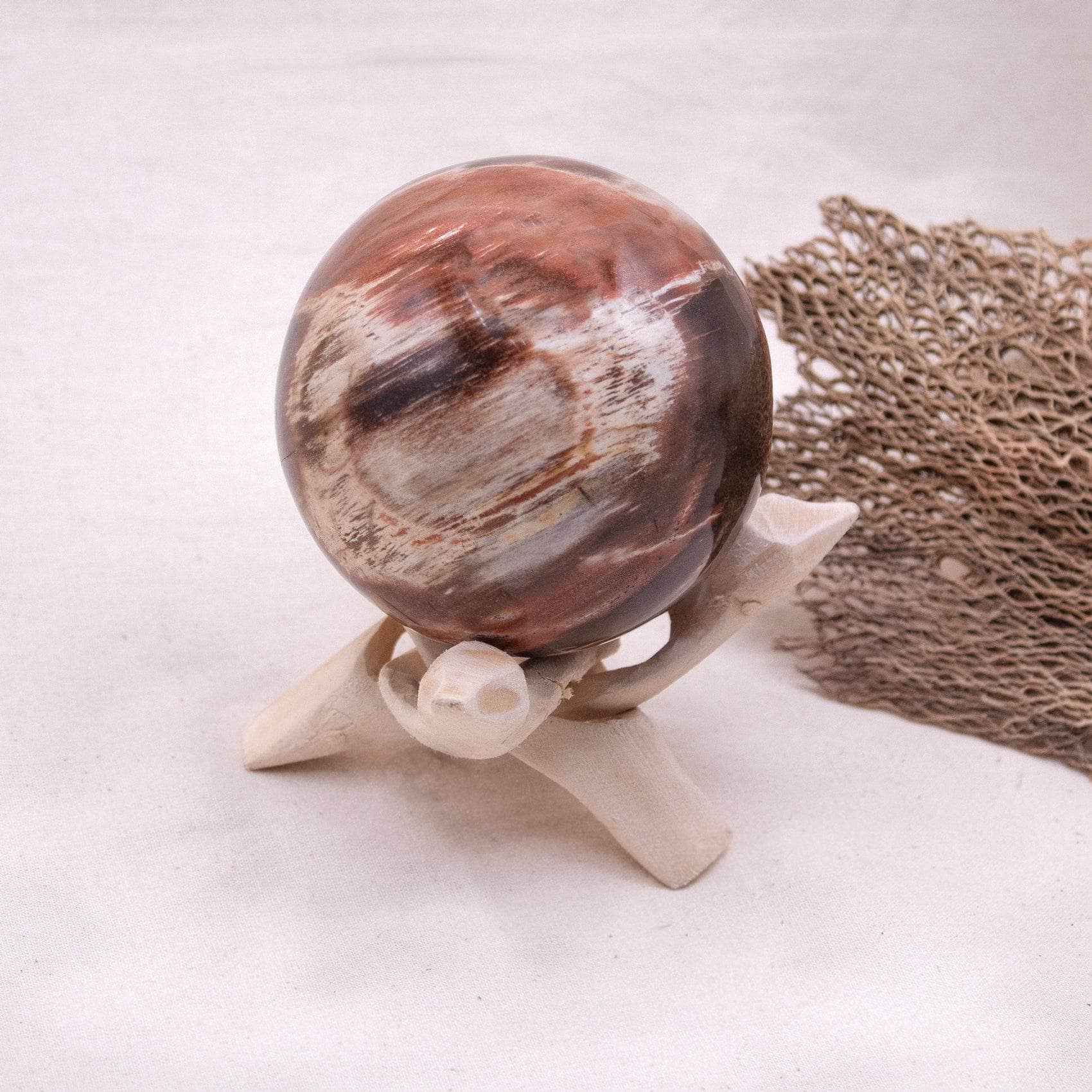 Petrified Wood Sphere - AAA Premium Quality、mySite、hinf8tx79