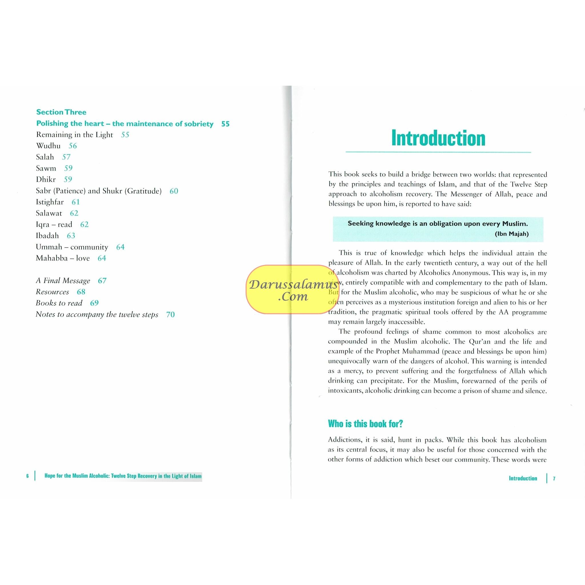 Hope for the Muslim Alcoholic By Yunus P、mySite、topwebapps