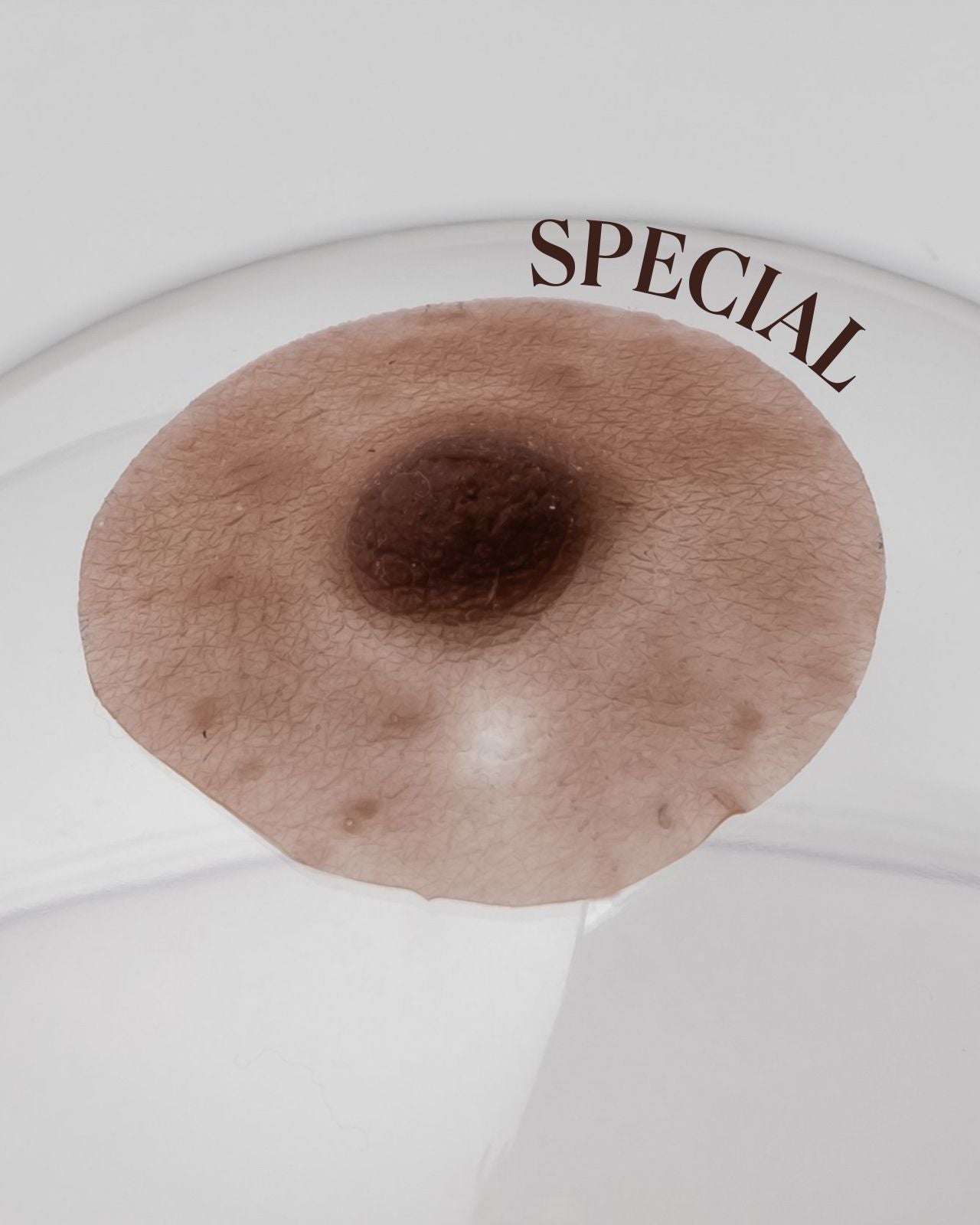 Pink Perfect Prosthetic Nipples in Brown、mySite、bengalsvssteelers