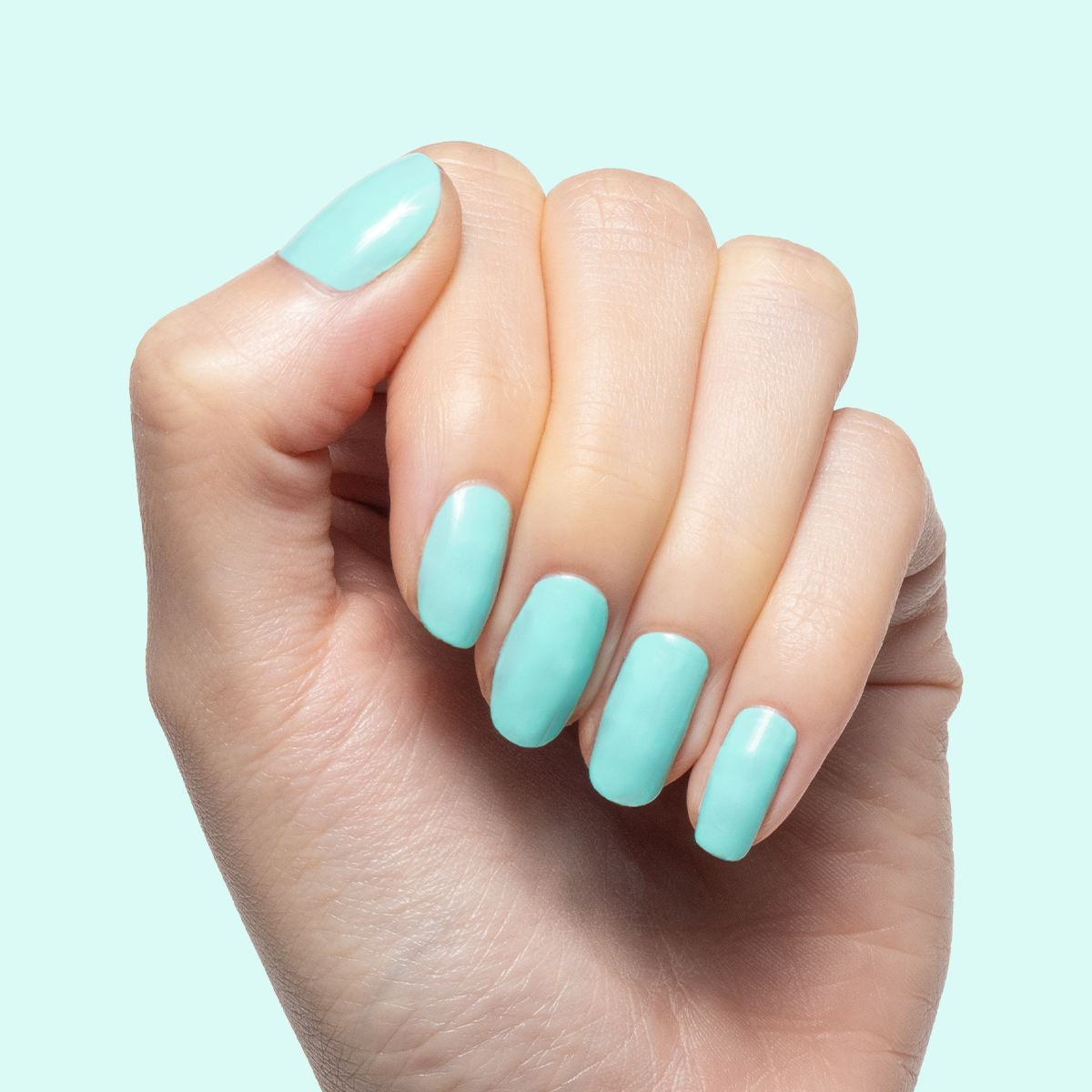 All Manis on Deck、mySite、solidvoid