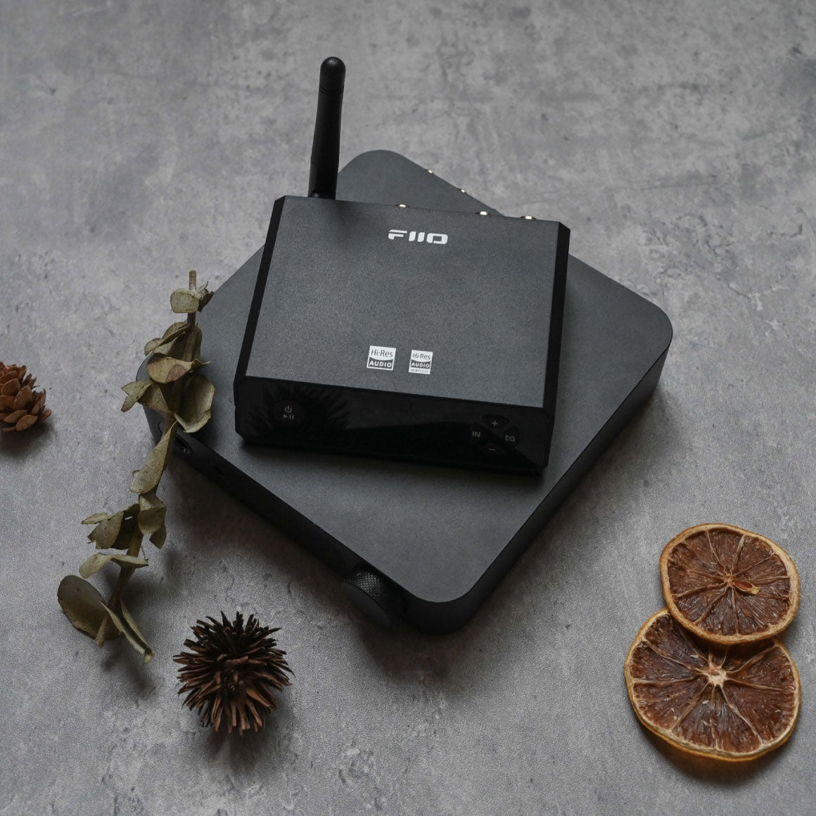  FiiO - BR13 (Unboxed)、mySite、merchandisen