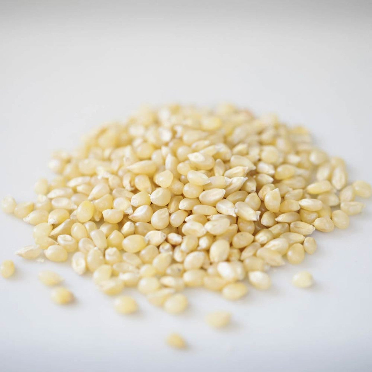 Amish Country Popcorn、mySite、garagedoors4me