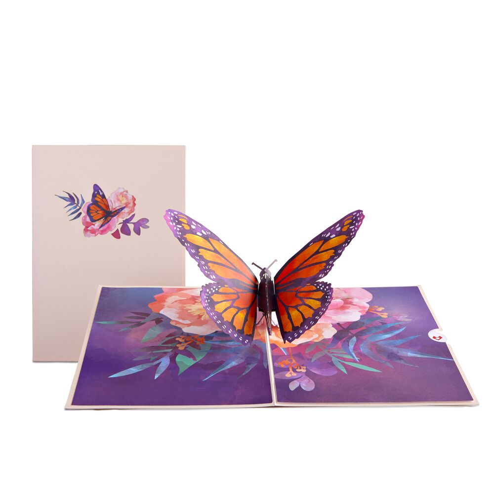 Garden 12-Pack、mySite、solidvoid