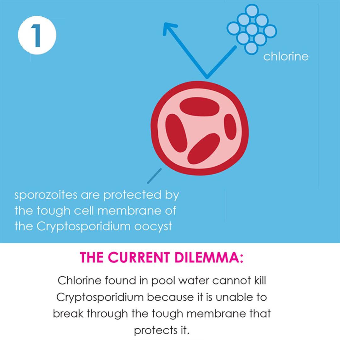  Splash About Happy Nappy Duo - Sunny Bear、mySite、merchandisen