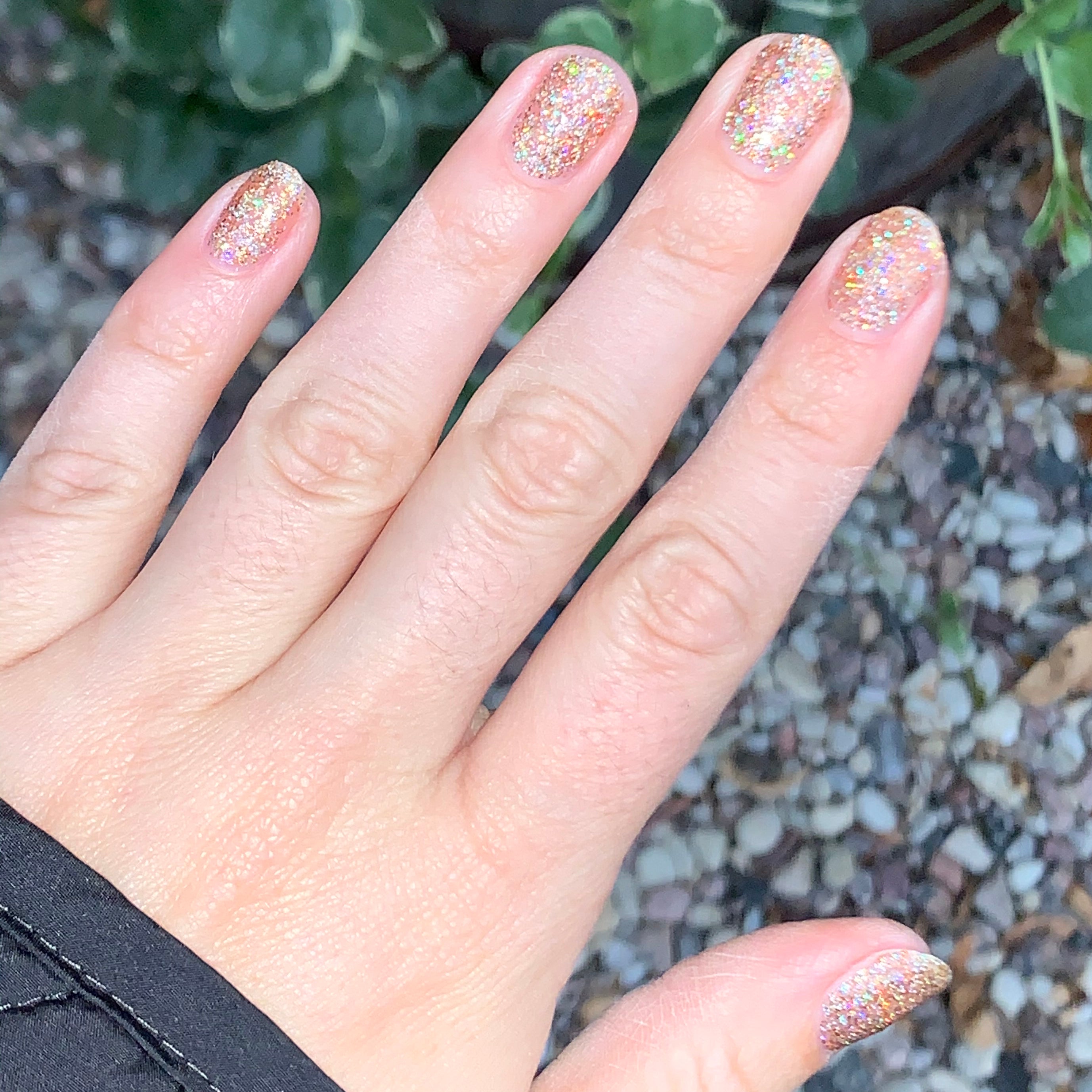 OBVI、mySite、solidvoid