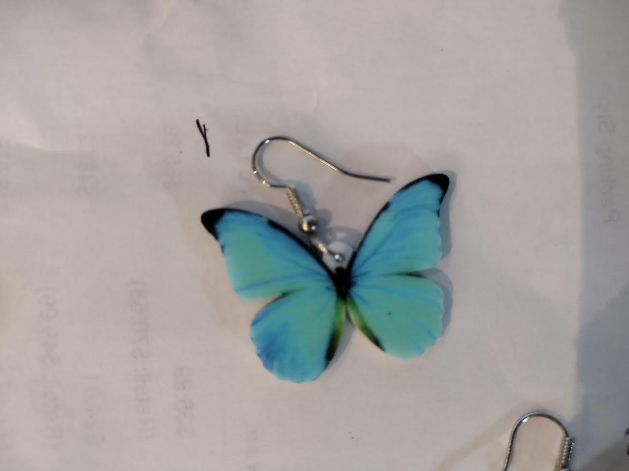 Chicken and Rooster and Bee and more Acrylic Animal Earrings、mySite、g9winljtr