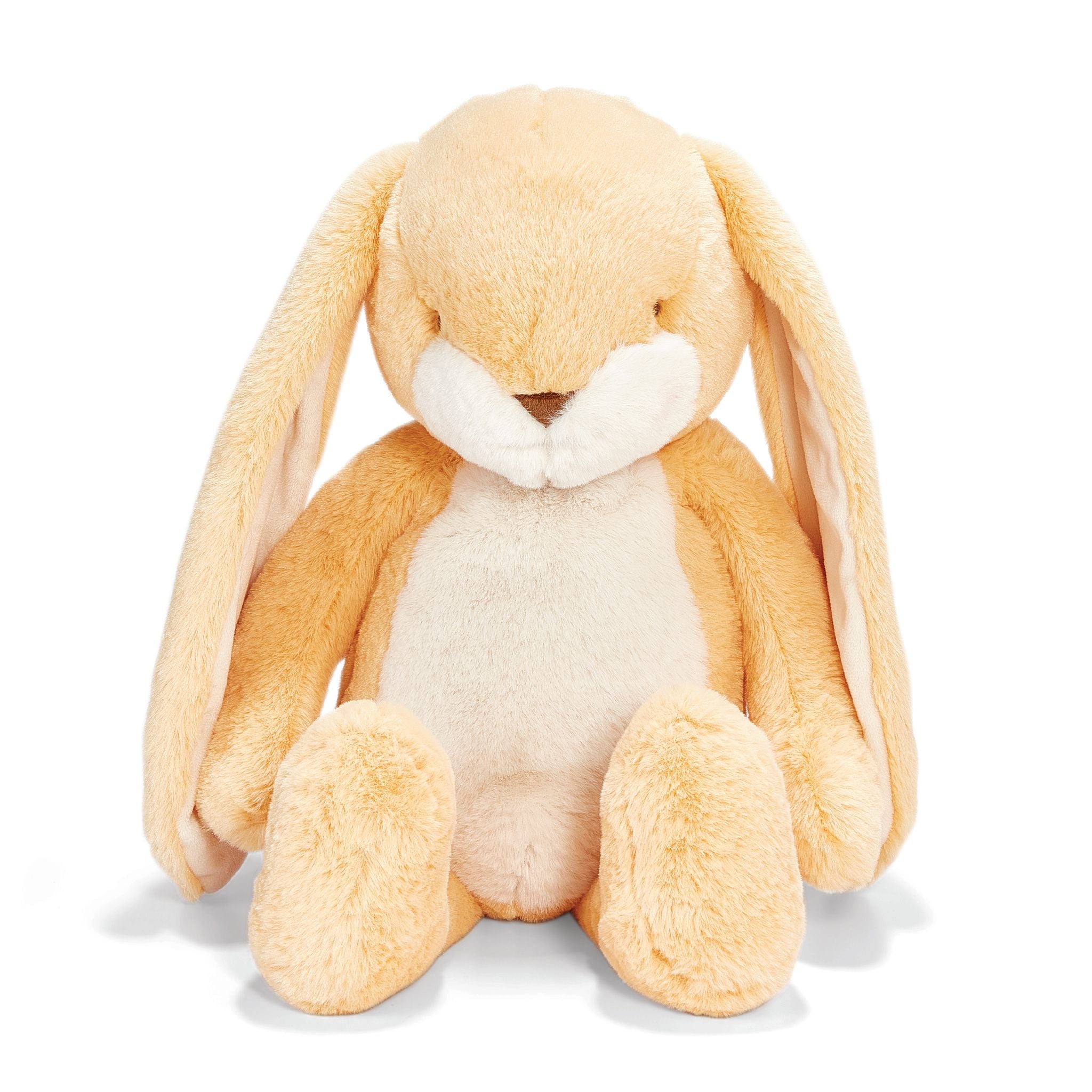 Big 20 Floppy Nibble Bunny- Apricot Cream、mySite、g9winljtr