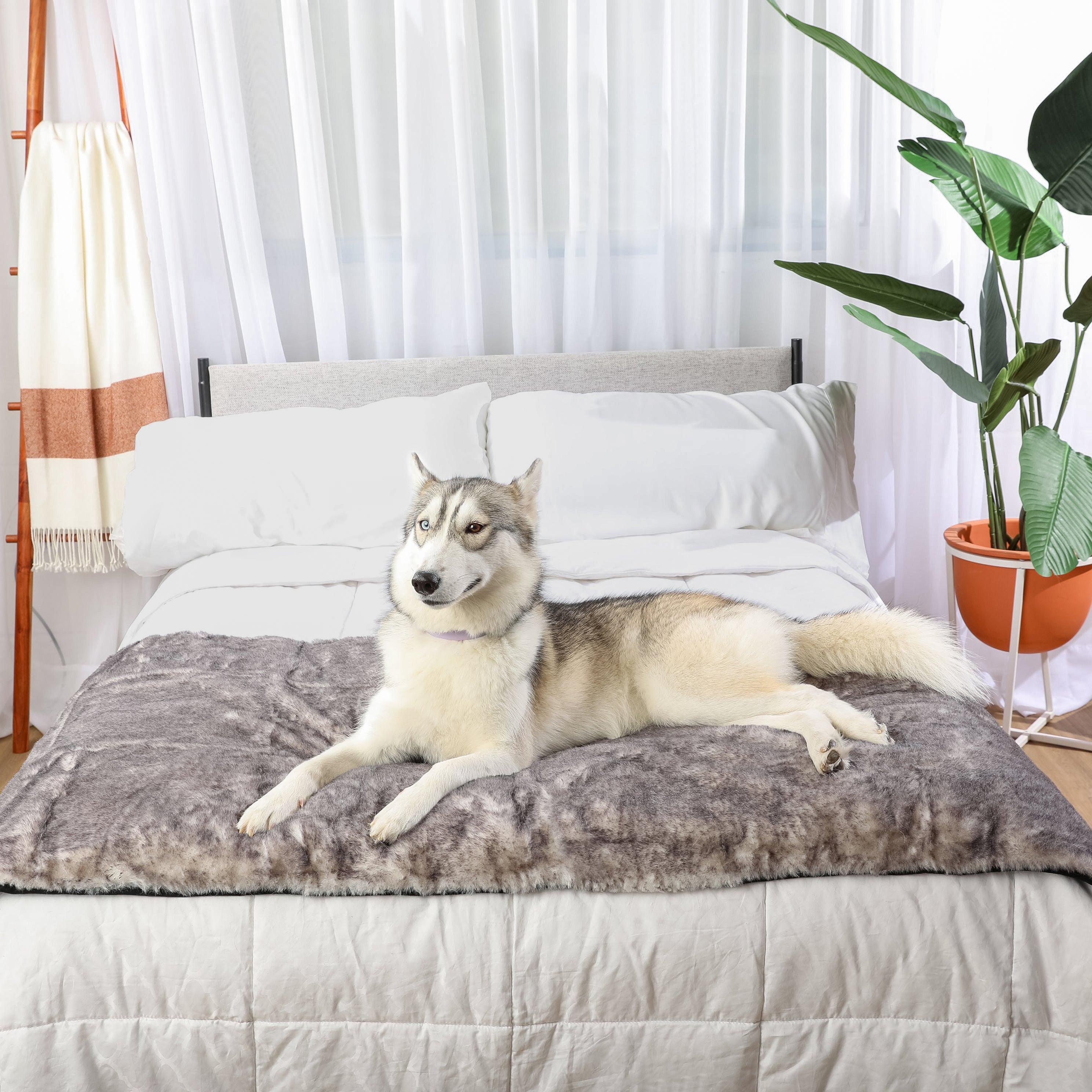 PupProtector™ Luxe Waterproof Bed Runner - Ultra Soft Chinchilla、mySite、solidvoid