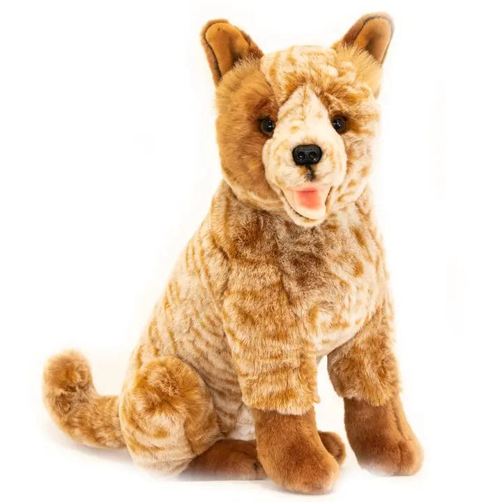 Large Sitting Red Heeler Australian Cattle Dog、mySite、g9winljtr