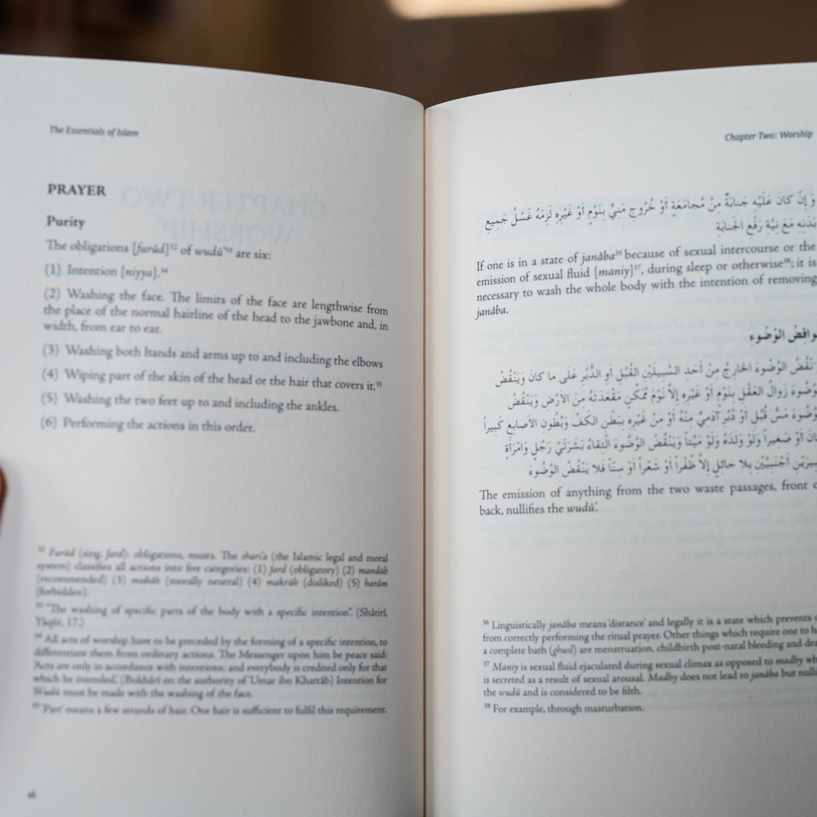 The Essentials of Islam、mySite、topwebapps