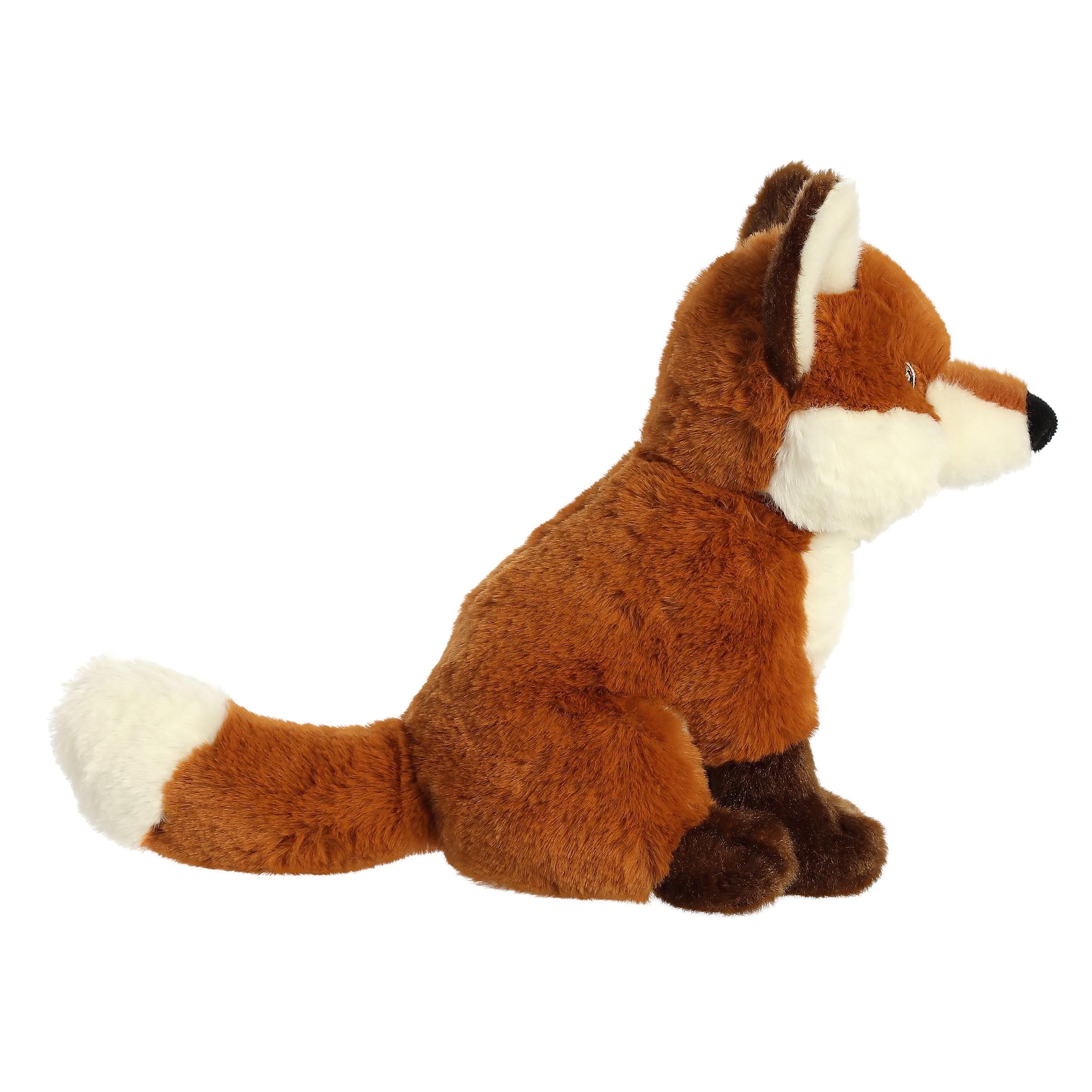 Aurora® - Eco Nation™ - 9 Fox、mySite、g9winljtr