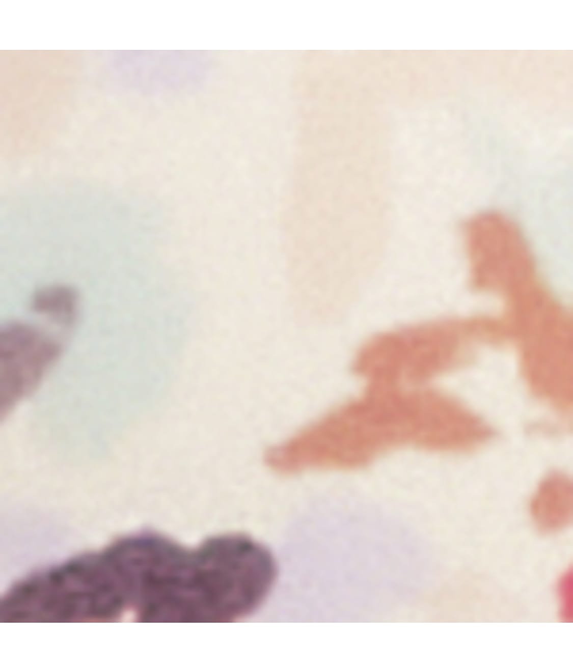  Elements of Bliss Lift Wire-Free Bra、mySite、justintrudeaud