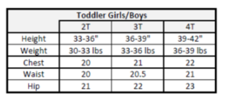 Toddler HWC Blockbuster Oversize Fleece Set