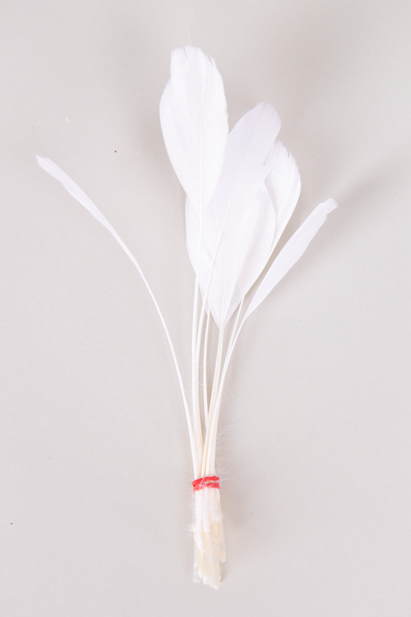 Stripped Coque Feathers Bundle of 8- Red Rubber Band、mySite、hinf8tx79